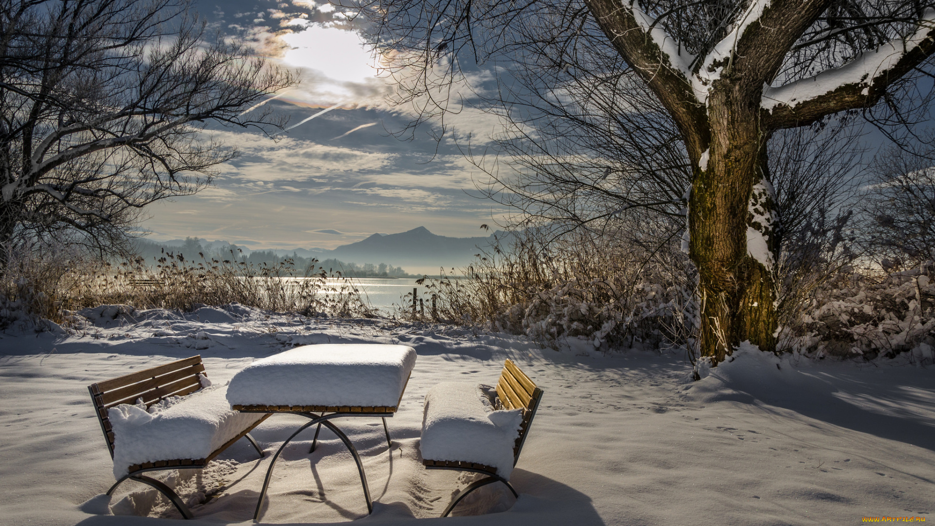 природа, зима, дерево, лавочки, снег