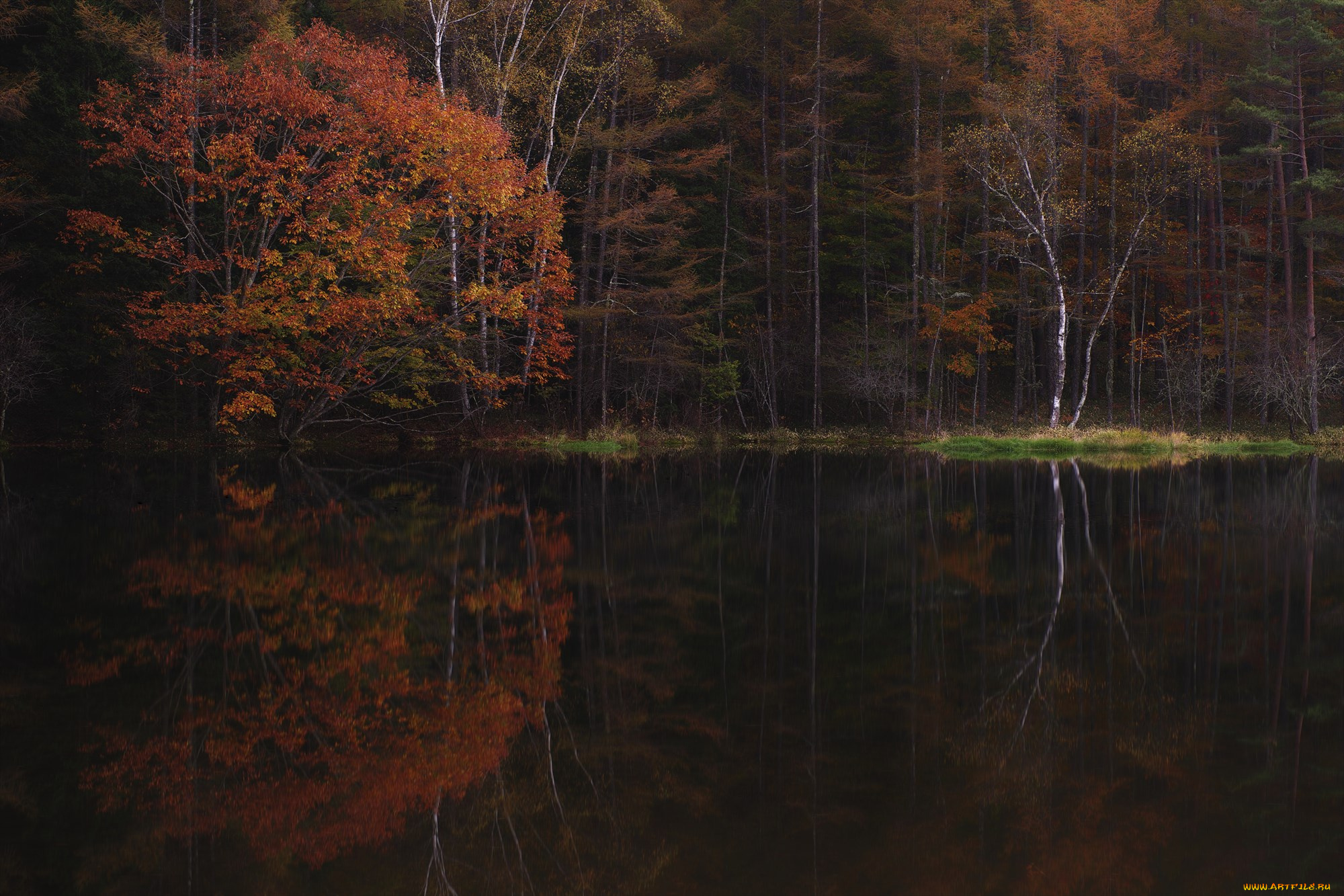 природа, реки, озера, туман, осень, утро, деревья, вода, takaten