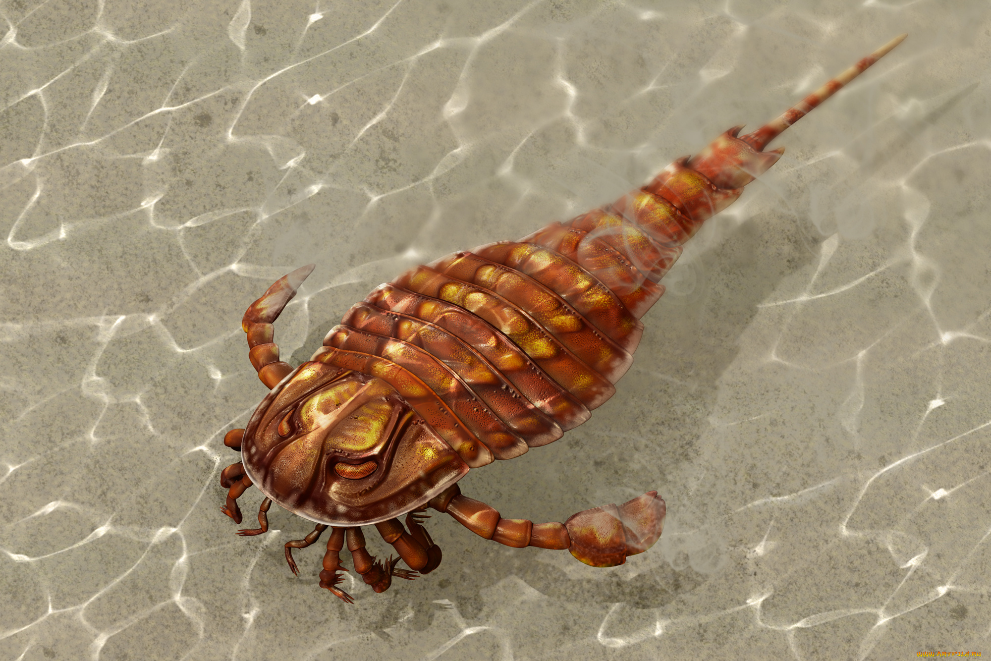 3д, графика, животные, , animals, eurypterida, вода