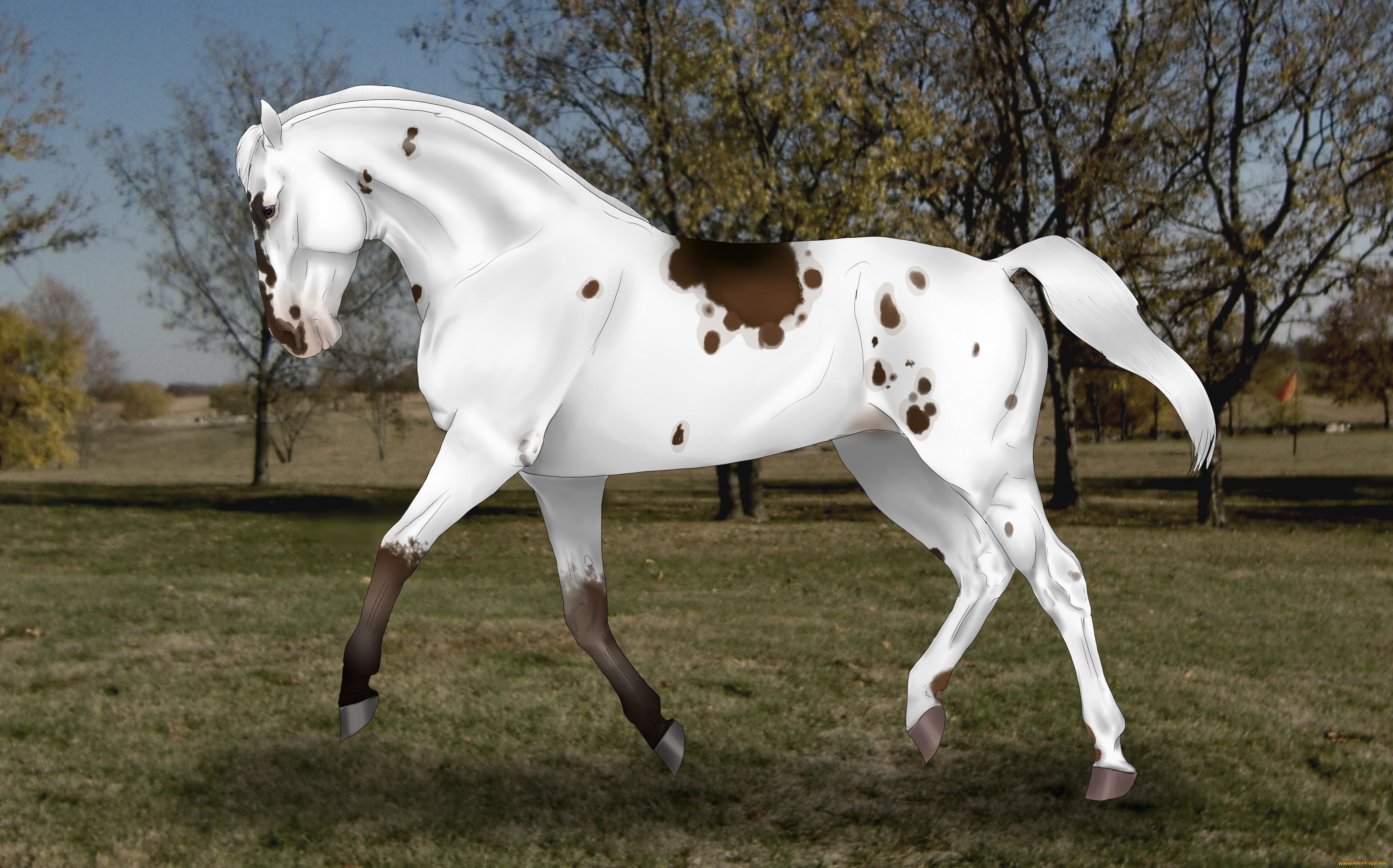 рисованное, животные, , лошади, фон, лошадь