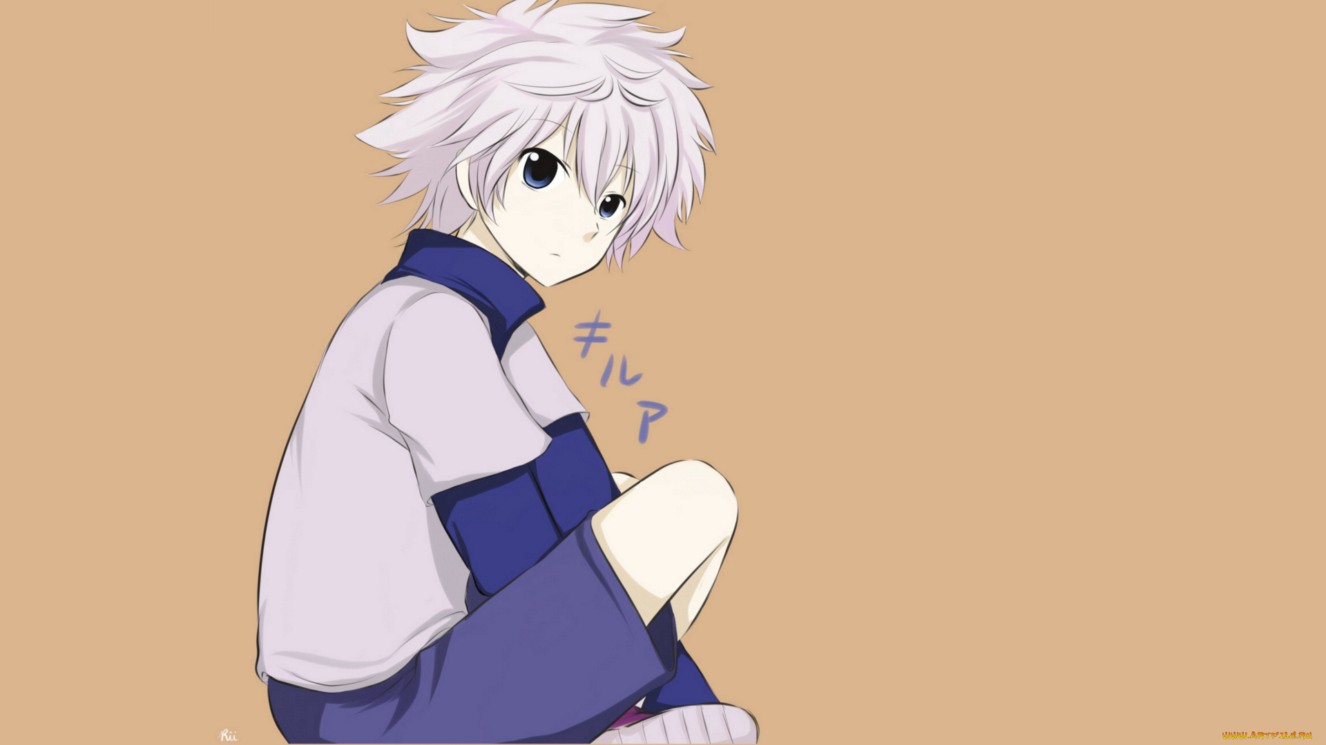 аниме, hunter, x, hunter, арт, киллуа, золдик, фон