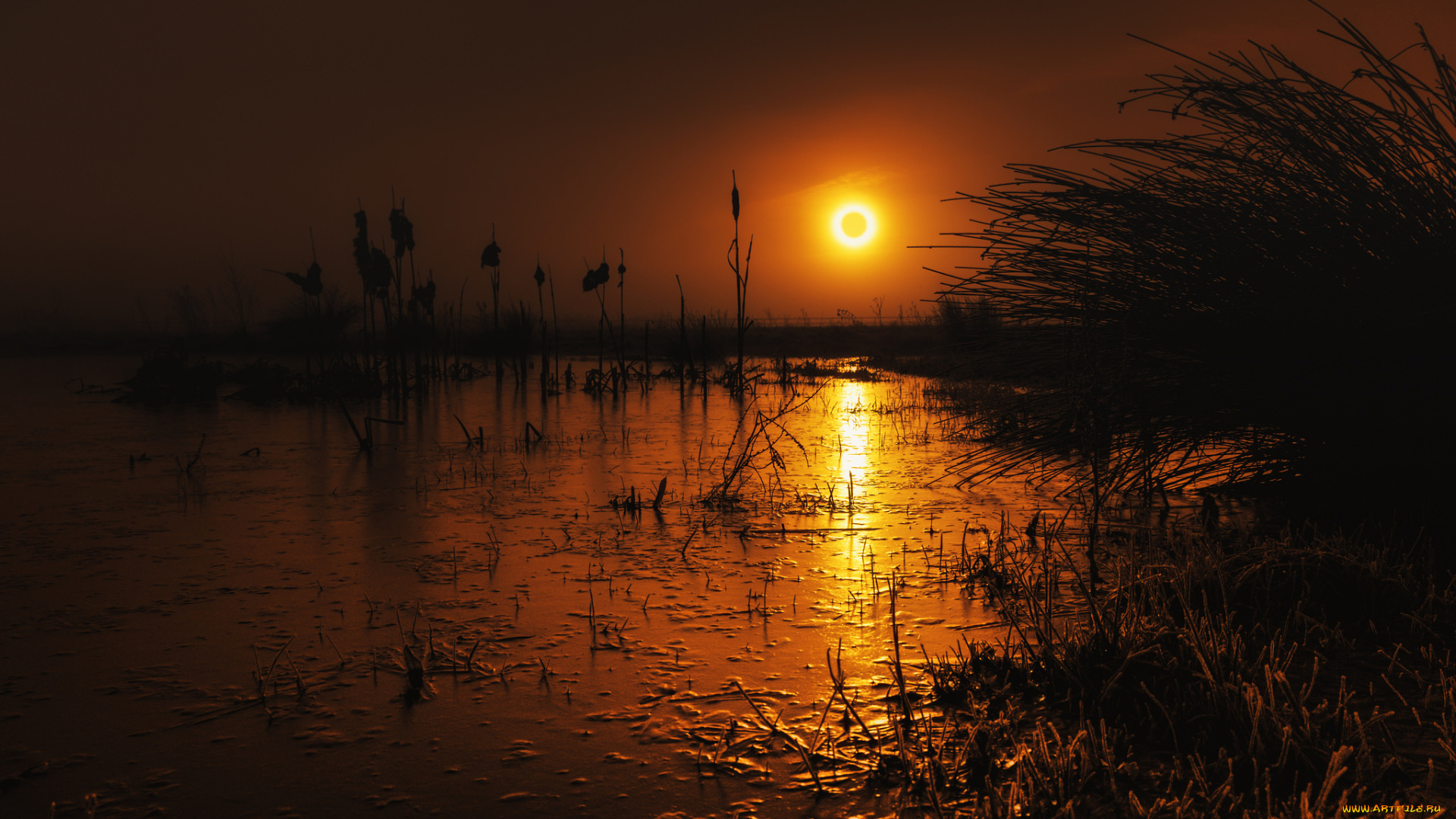 природа, восходы, закаты, закат