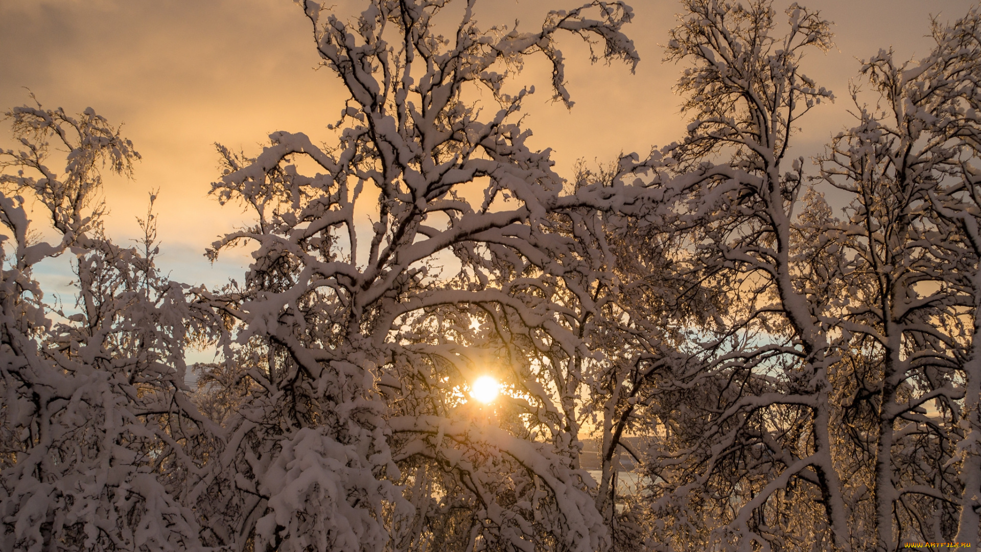 природа, зима, рассвет