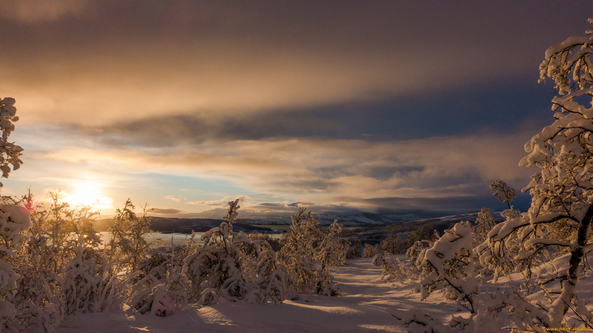 природа, зима, рассвет