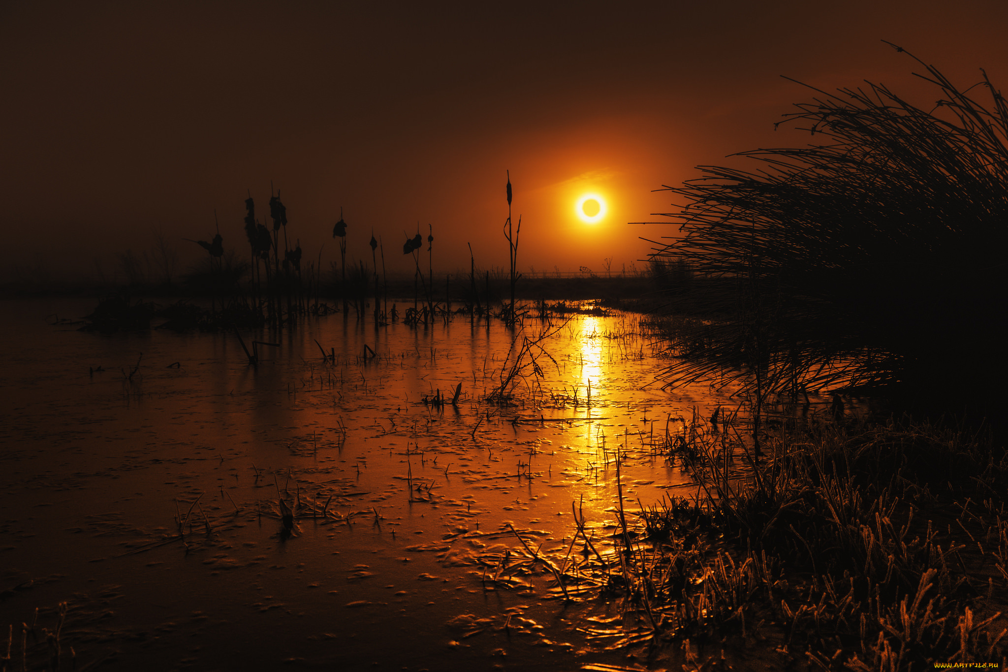 природа, восходы, закаты, закат