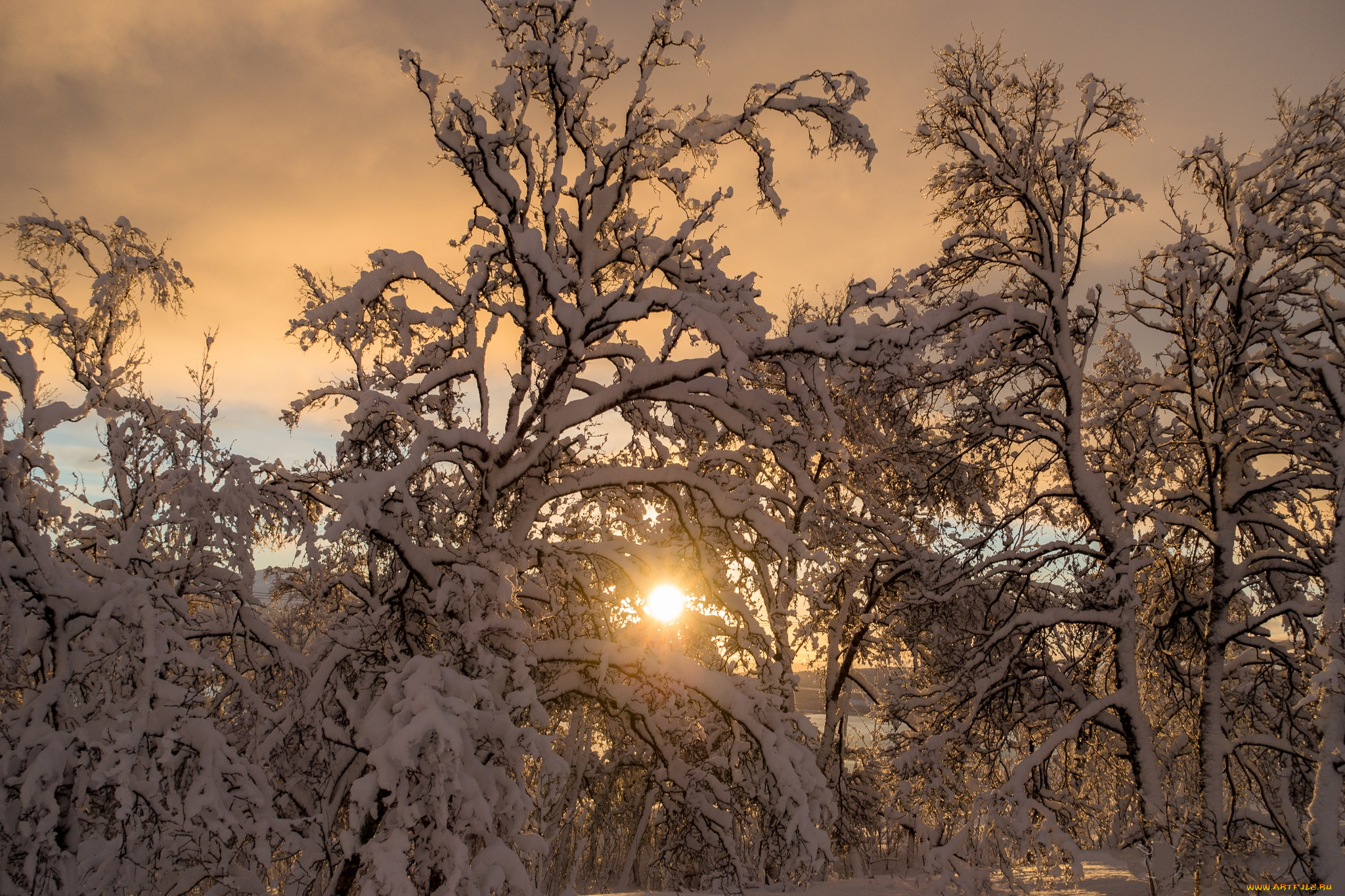 природа, зима, рассвет