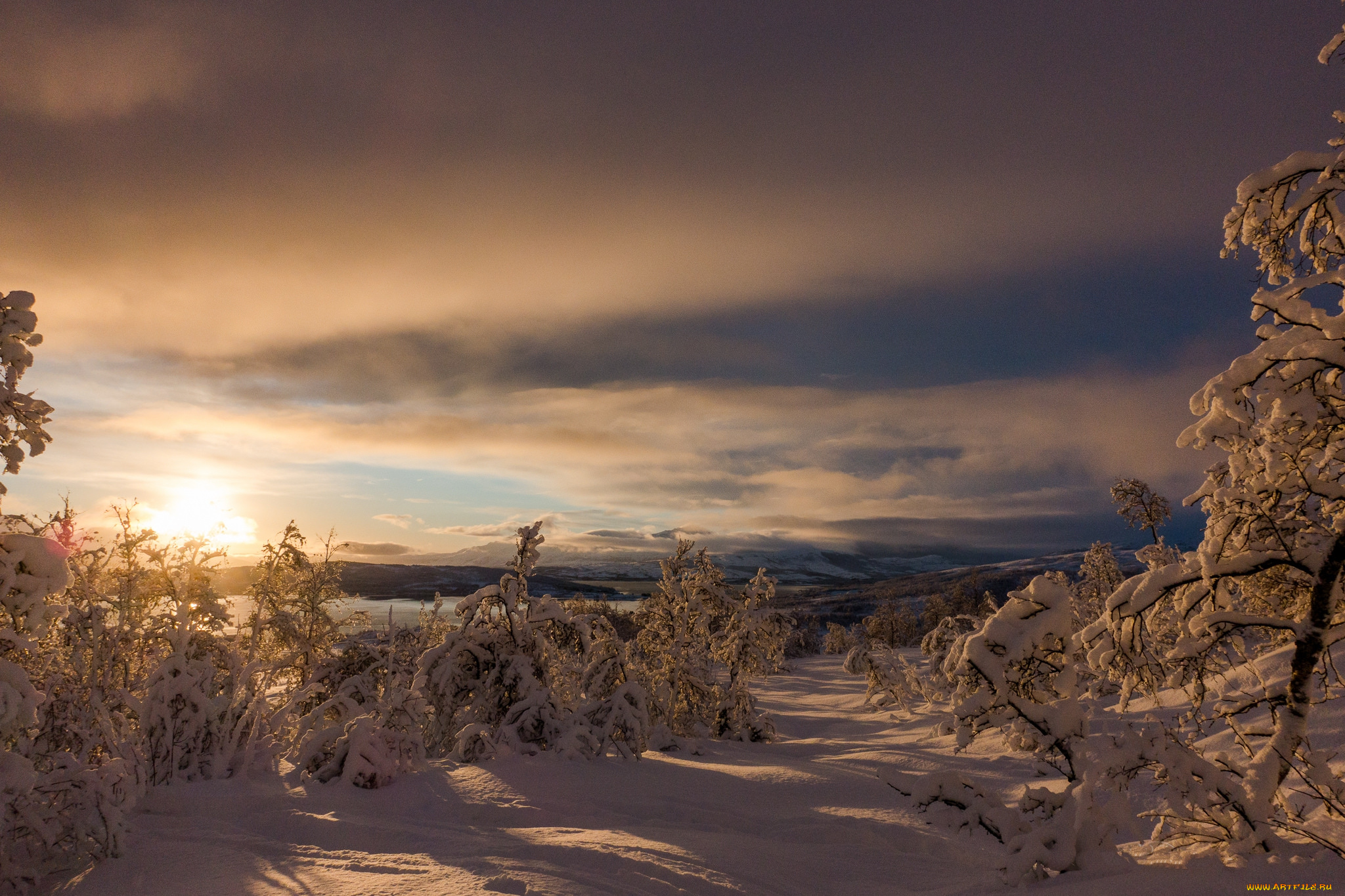 природа, зима, рассвет