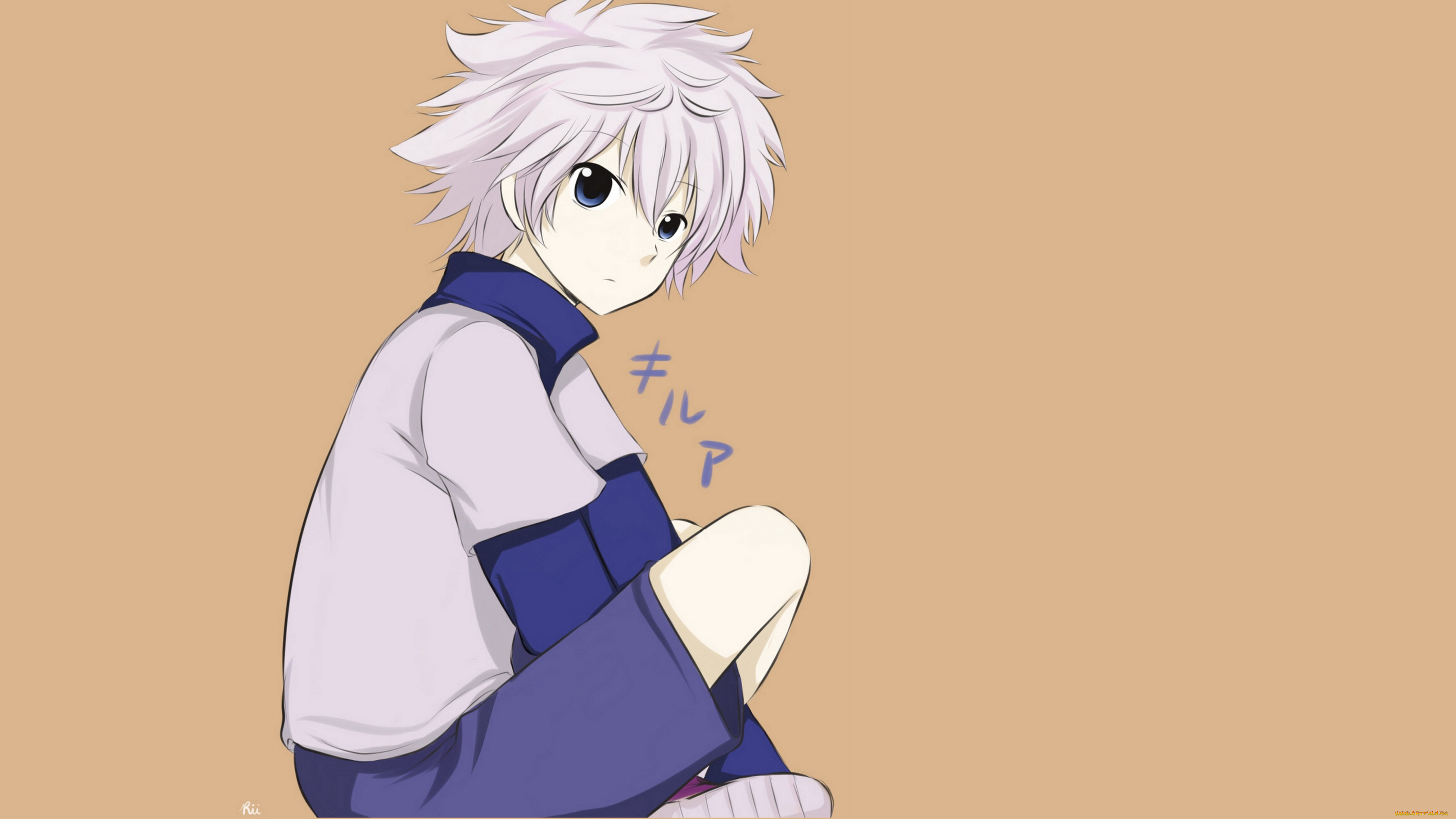 аниме, hunter, x, hunter, арт, киллуа, золдик, фон