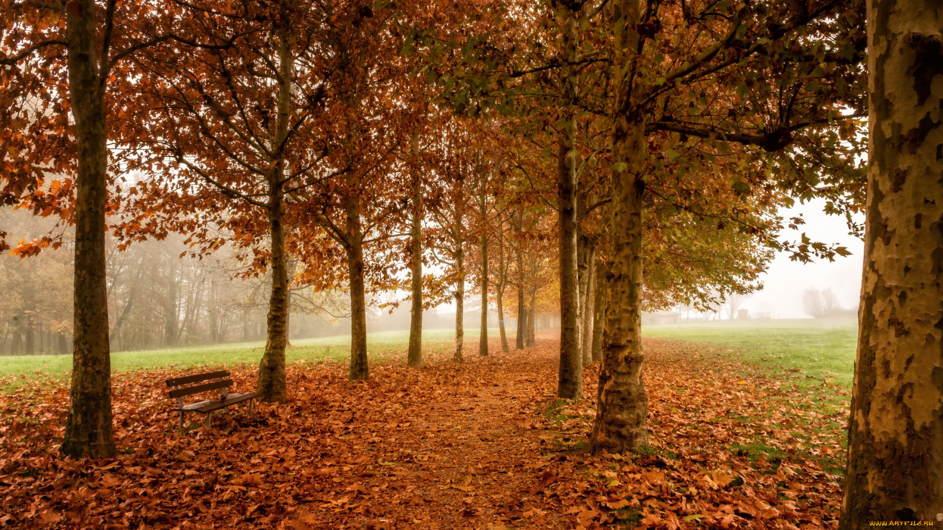 природа, парк, скамья, деревья, осень