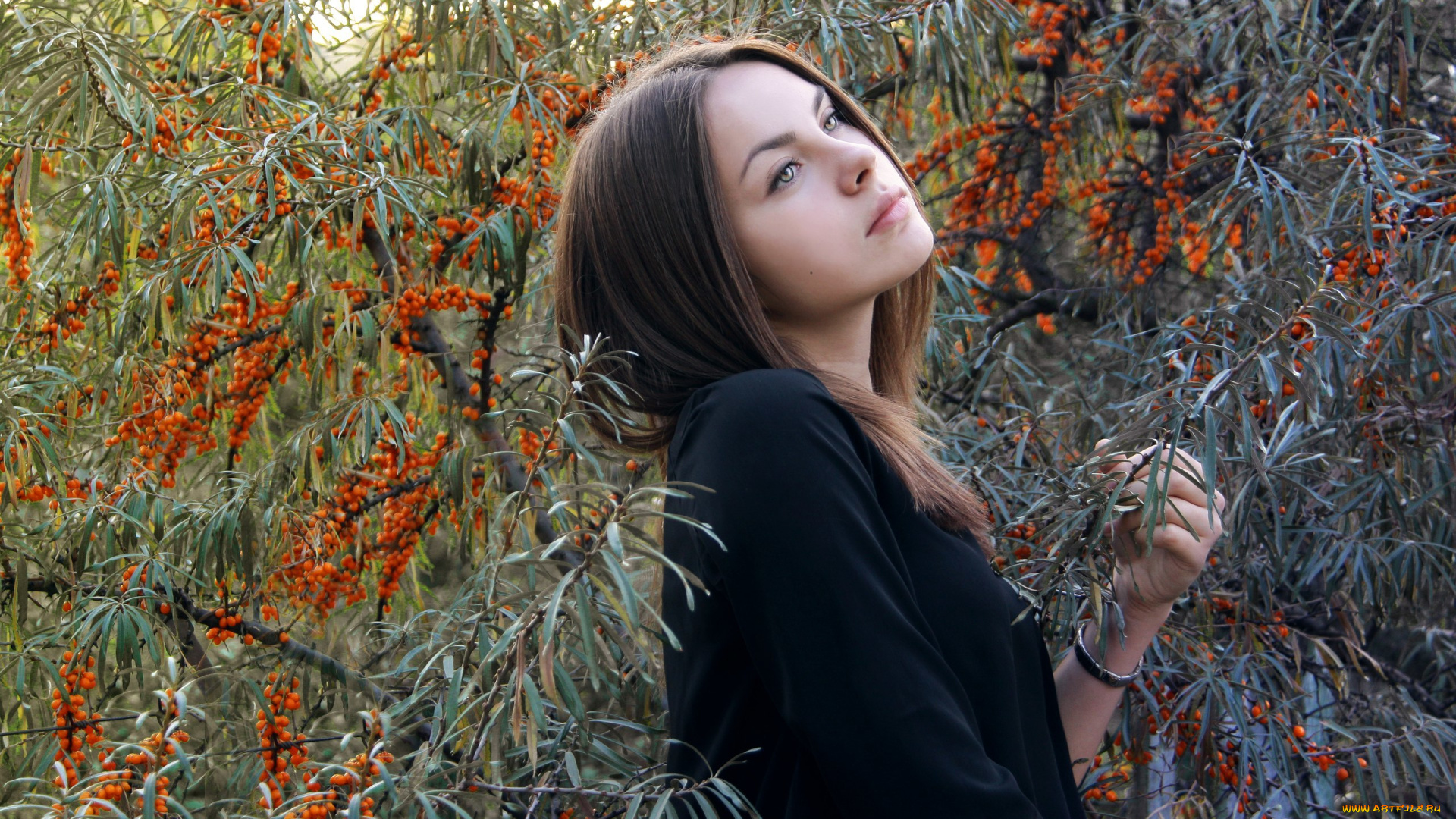 девушка, девушки, -unsort, , брюнетки, темноволосые, модель