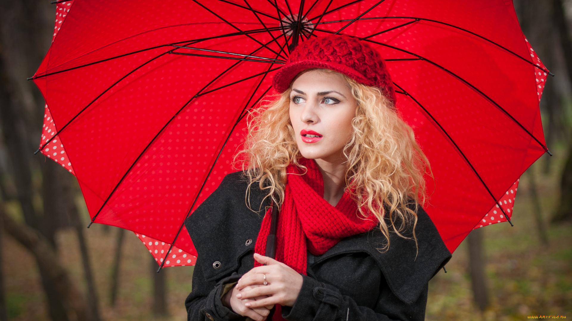 девушки, -unsort, , блондинки, , светловолосые, осень, девушка, красный, зонт, блондинка