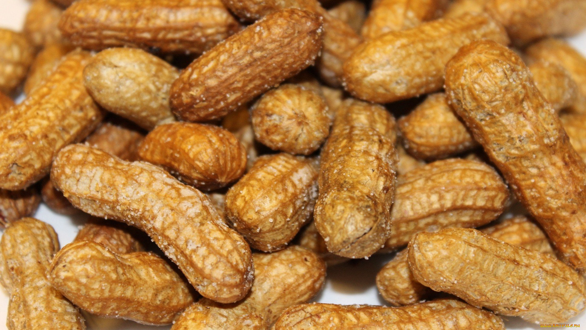 еда, орехи, , каштаны, , какао-бобы, арахис