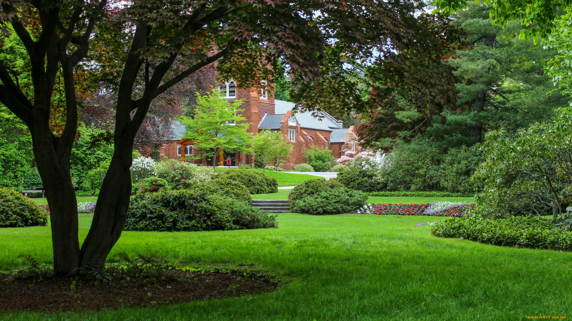 города, -, здания, , дома, лужайка, дом, клумбы