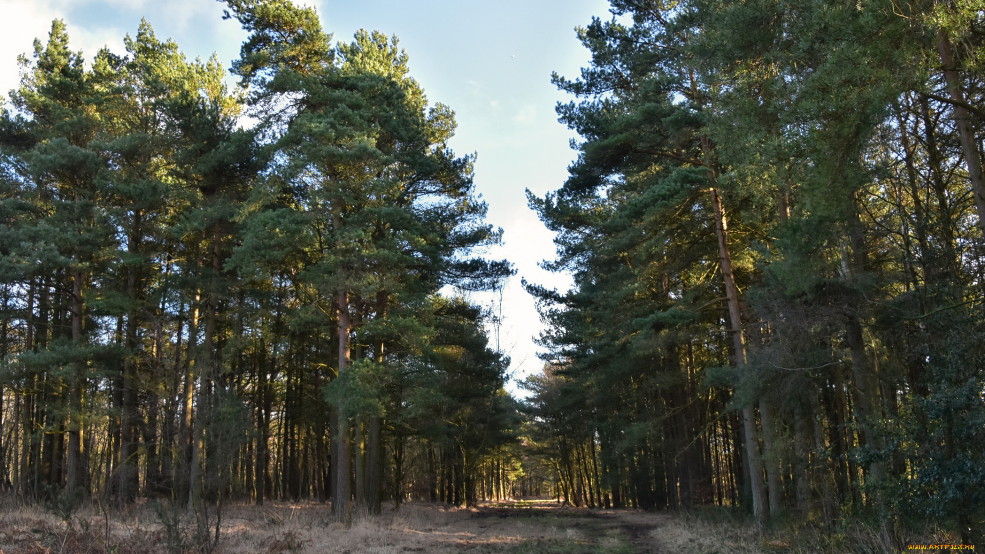 природа, дороги, простор