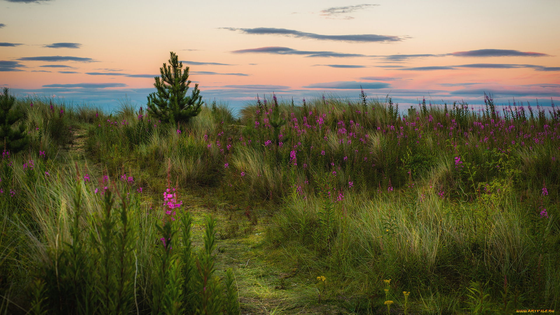 природа, пейзажи, простор