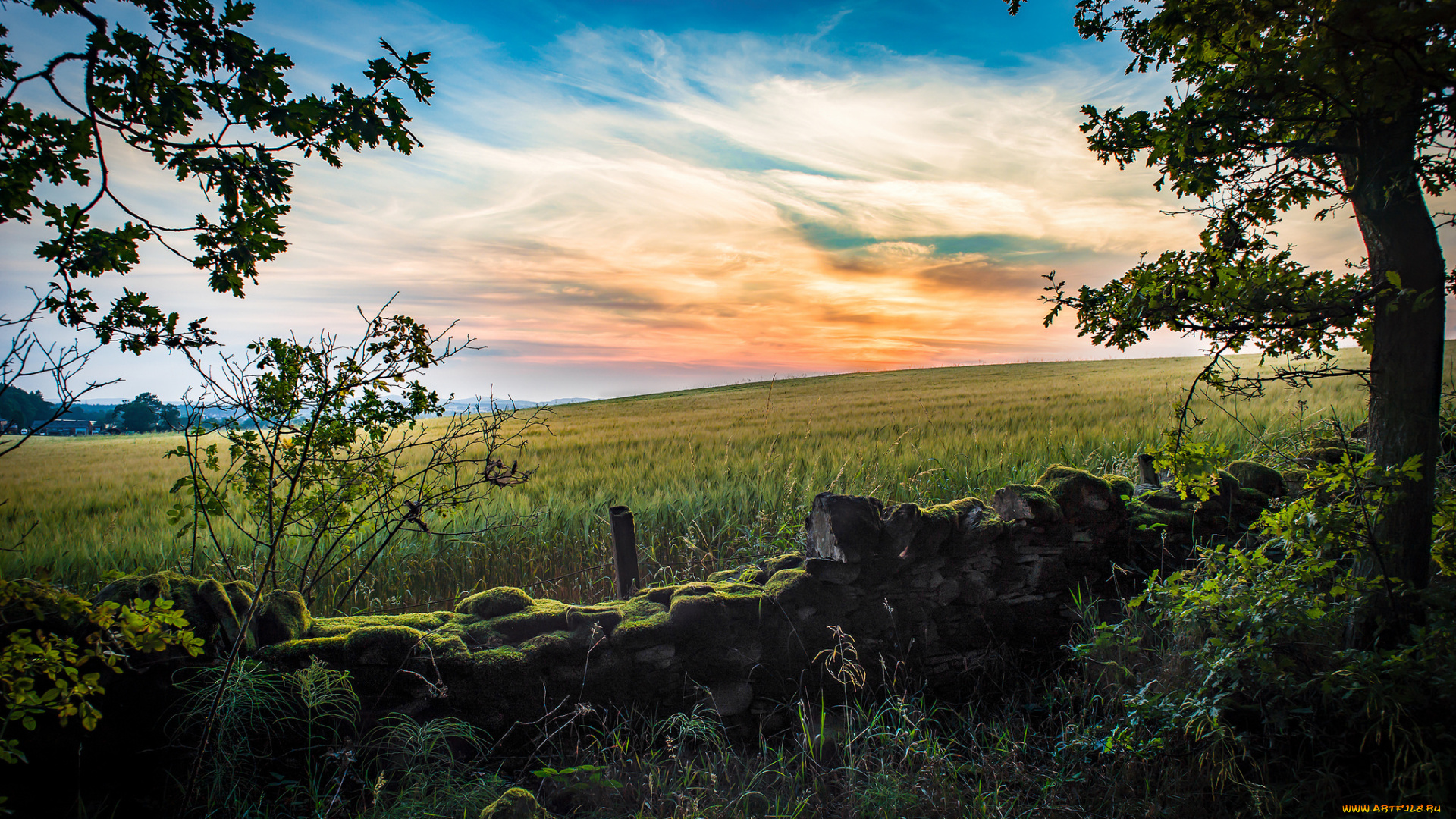 природа, пейзажи, простор