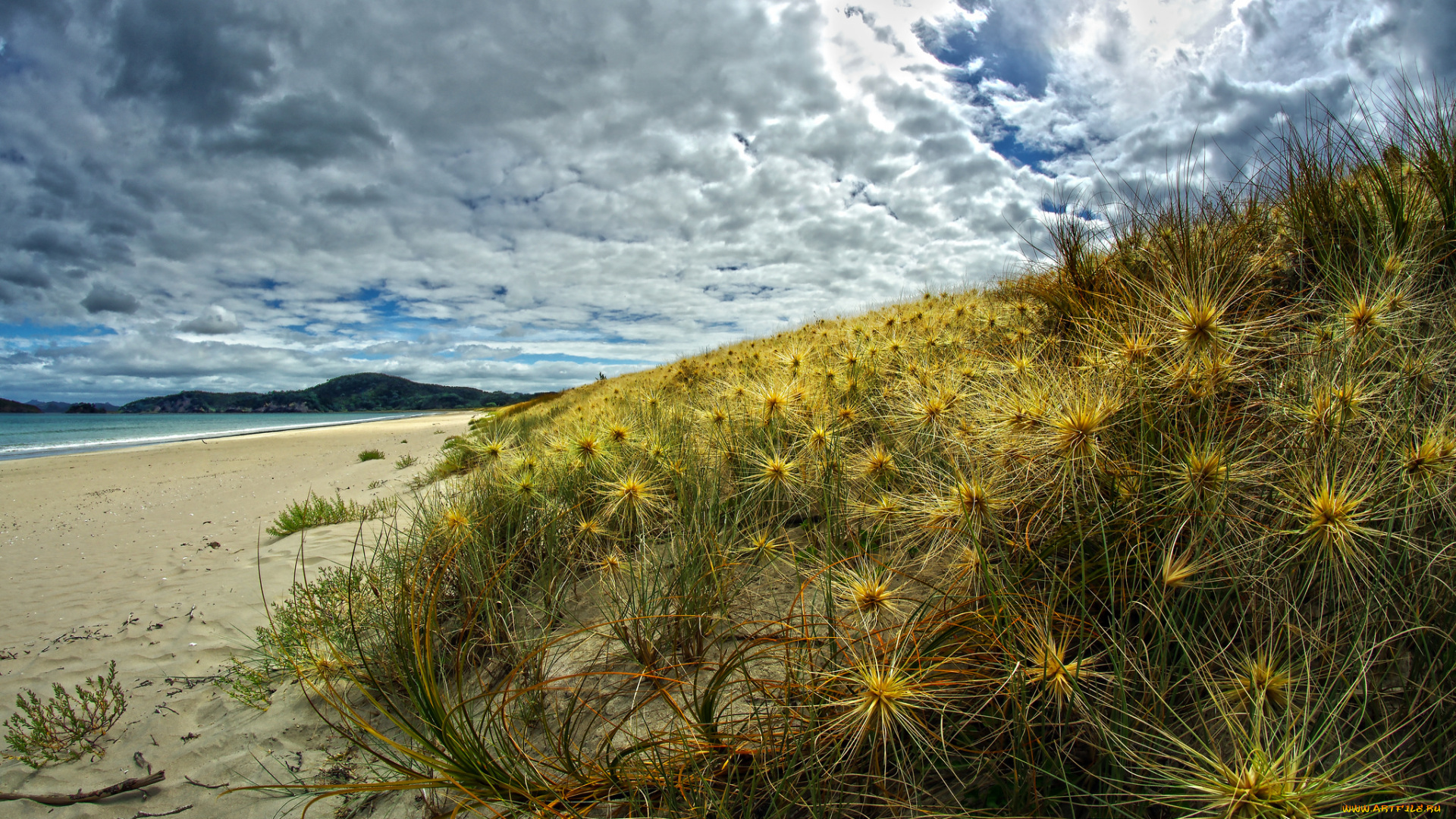 природа, побережье, простор
