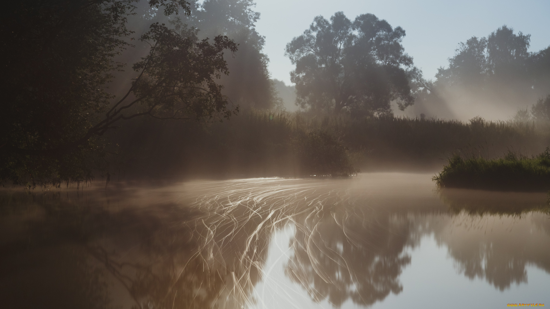природа, реки, озера, деревья, пейзаж, лес, туман, вода, река
