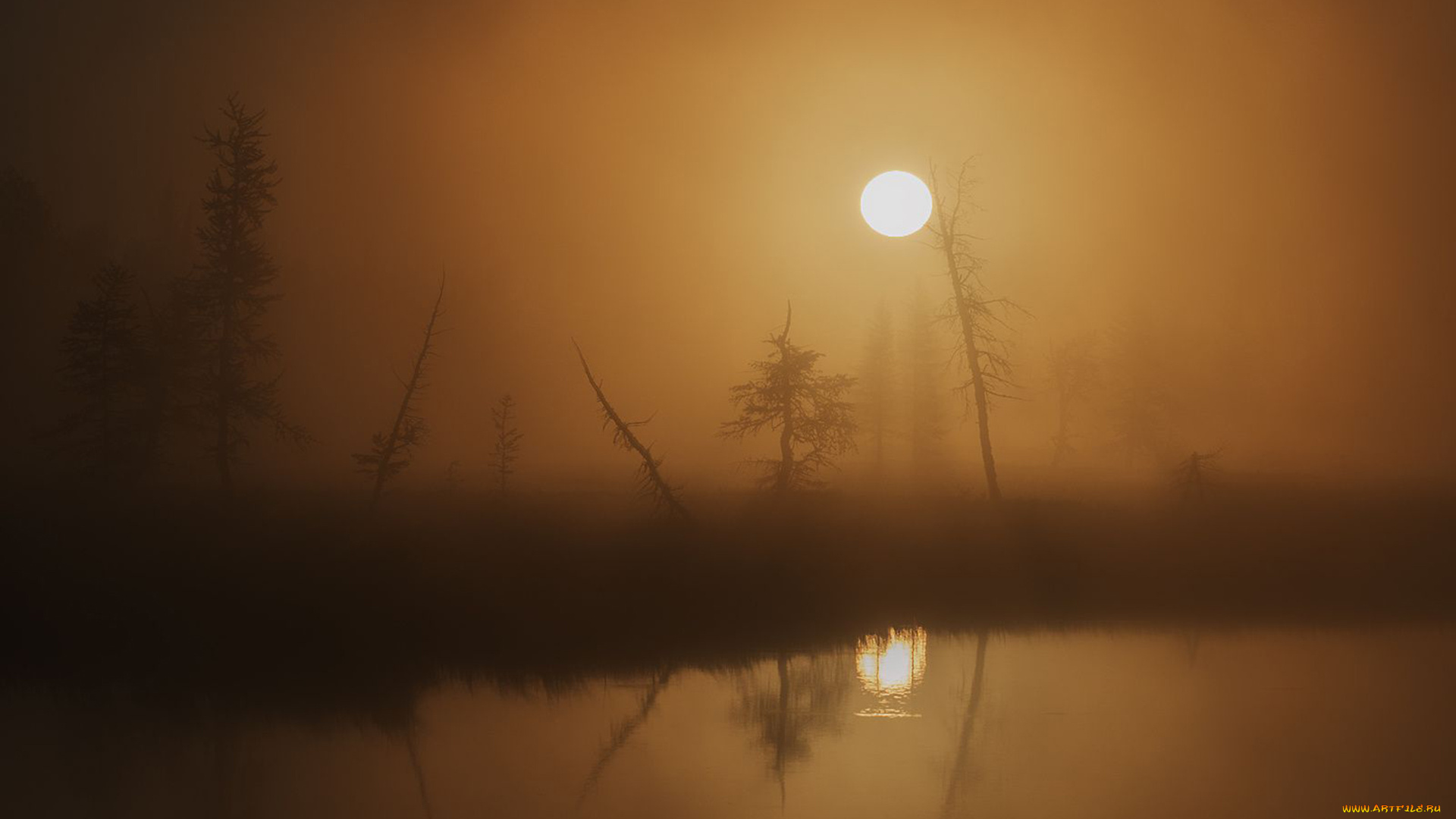 природа, реки, озера, пейзаж, вода, ночь, болото, туман