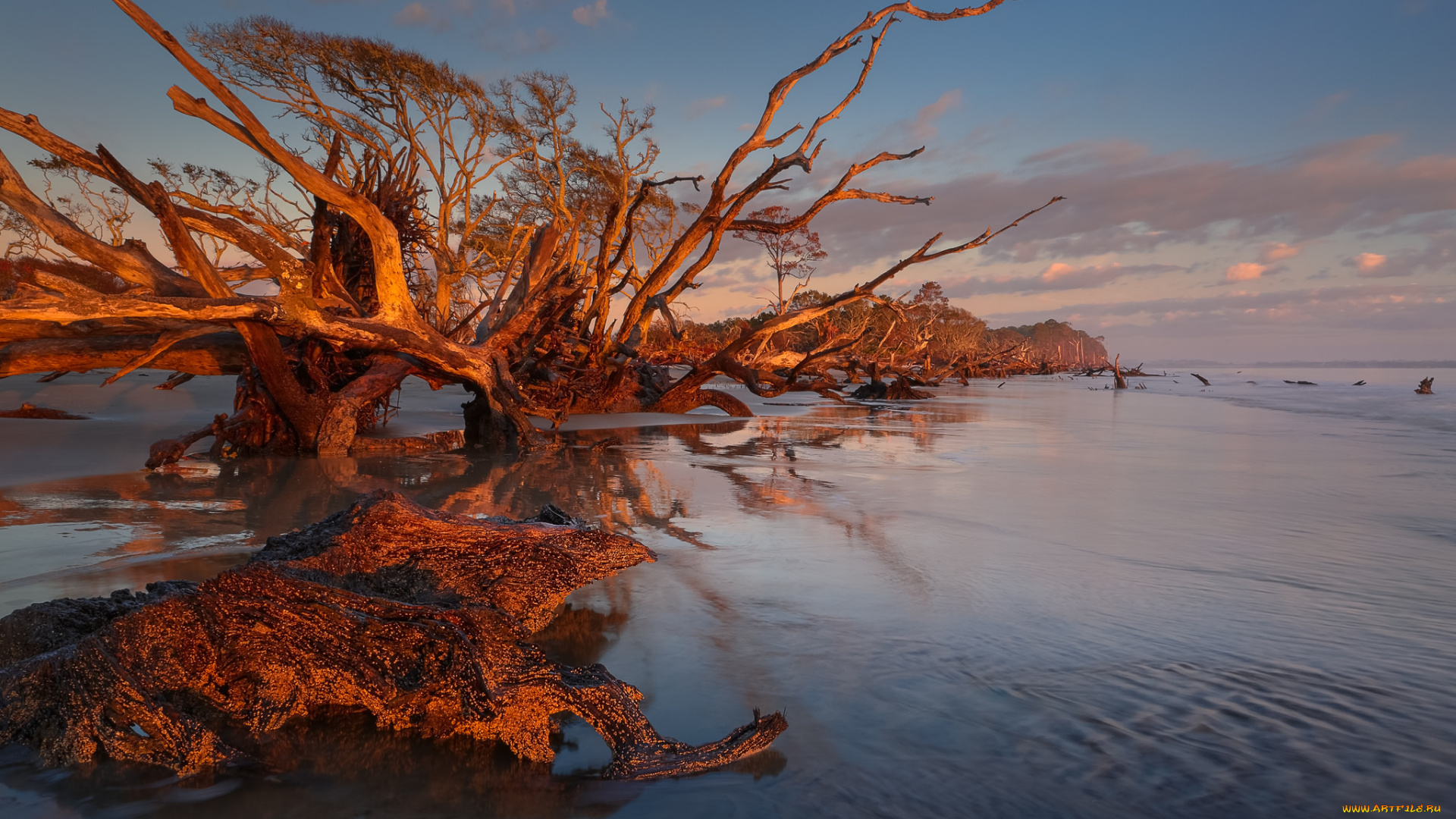 природа, реки, озера, простор