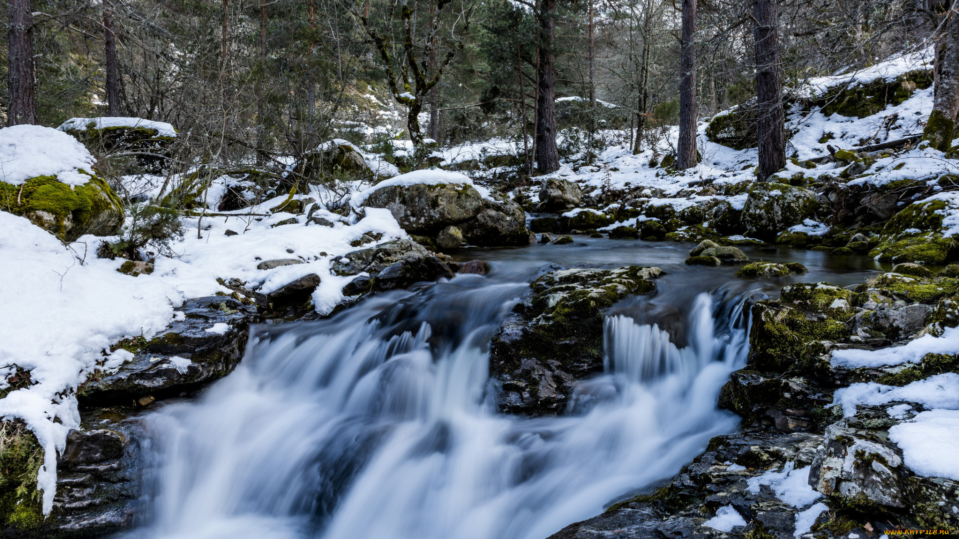 природа, реки, озера, простор