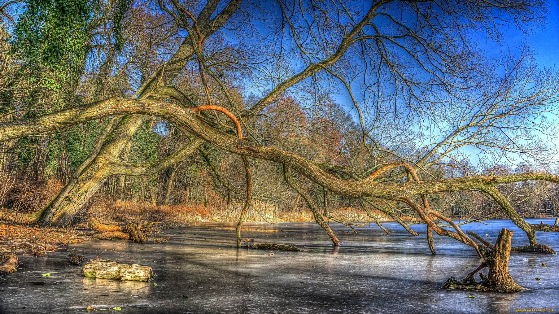 природа, реки, озера, простор