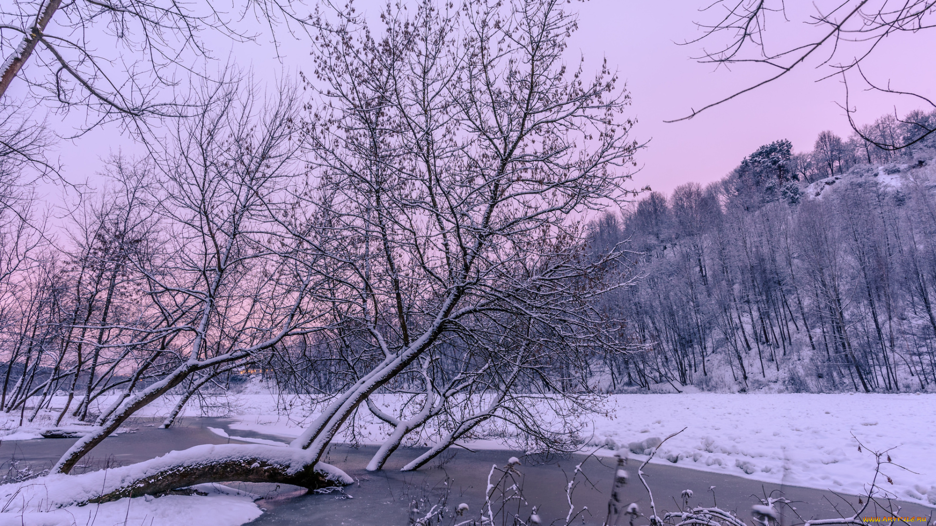 природа, реки, озера, простор