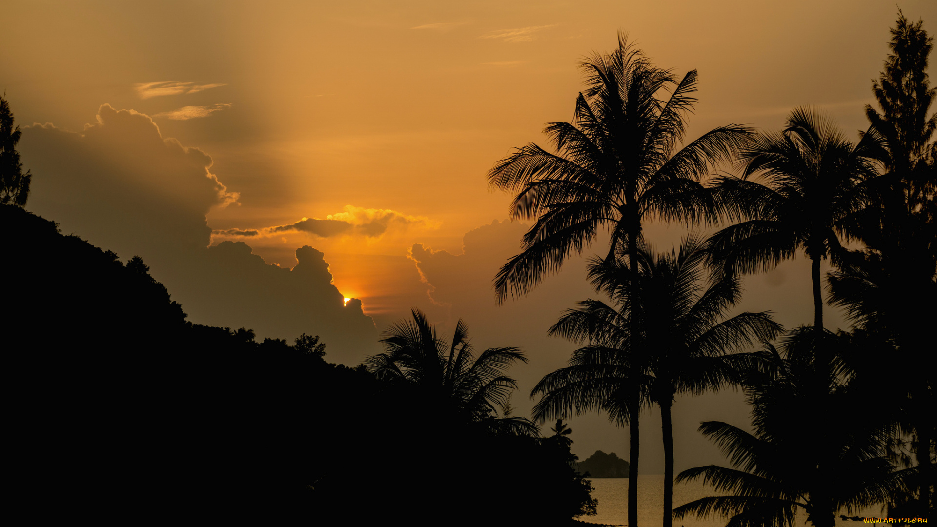 природа, тропики, простор