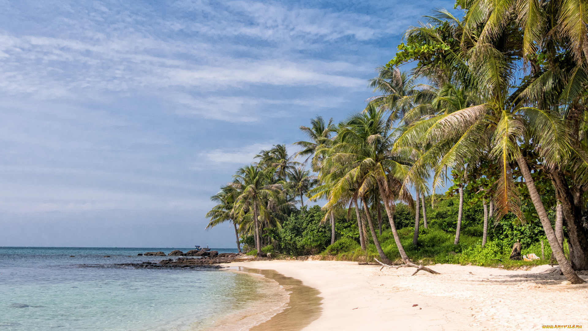 природа, тропики, простор