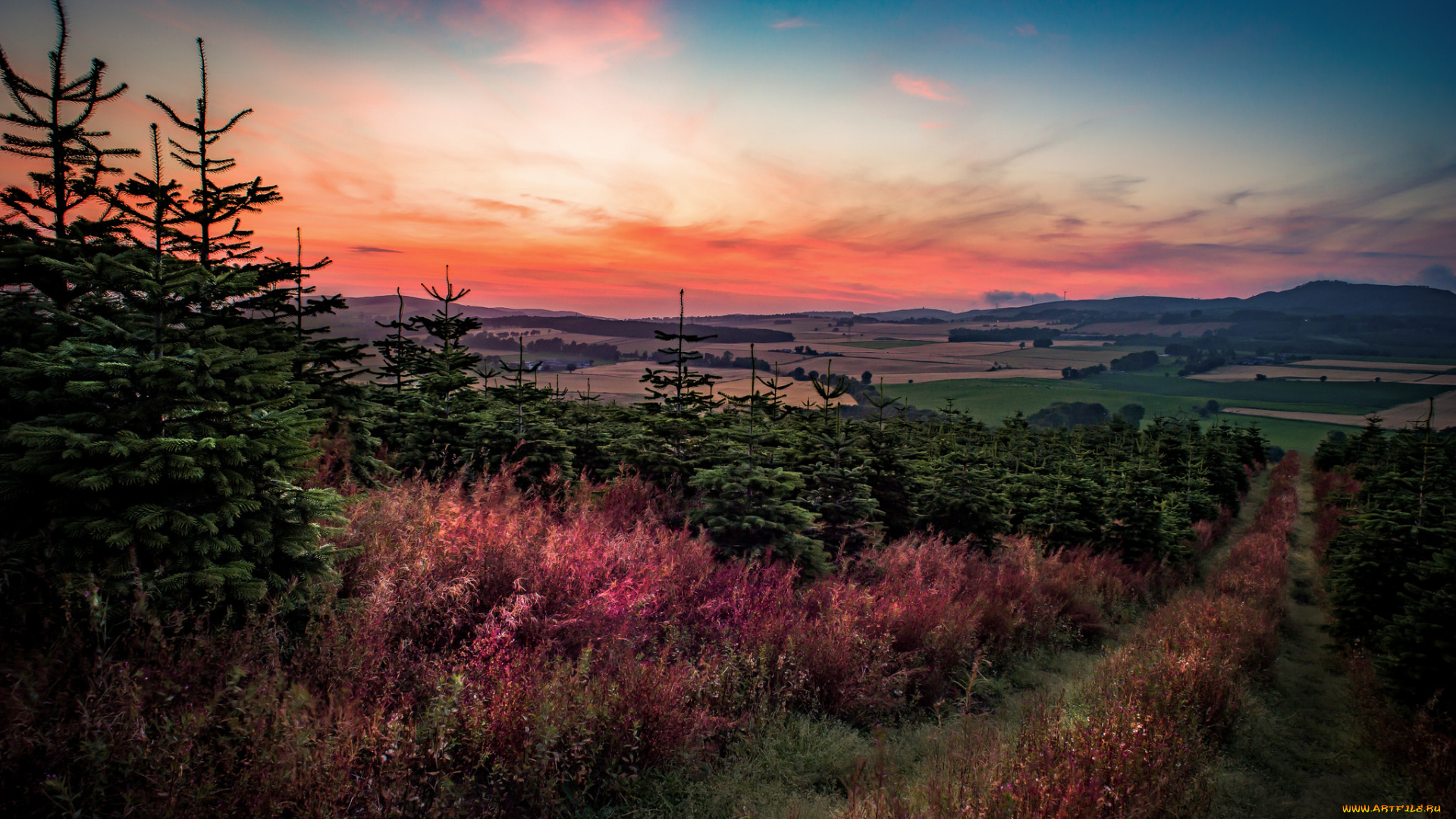 природа, восходы, закаты, простор