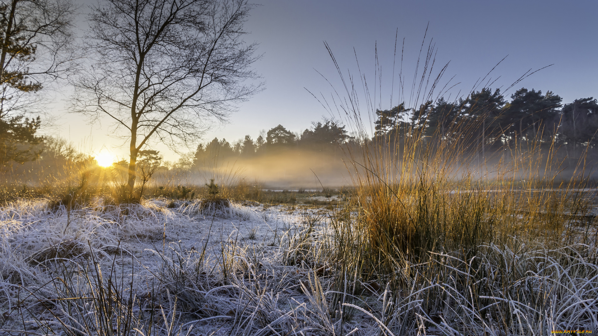 природа, восходы, закаты, простор