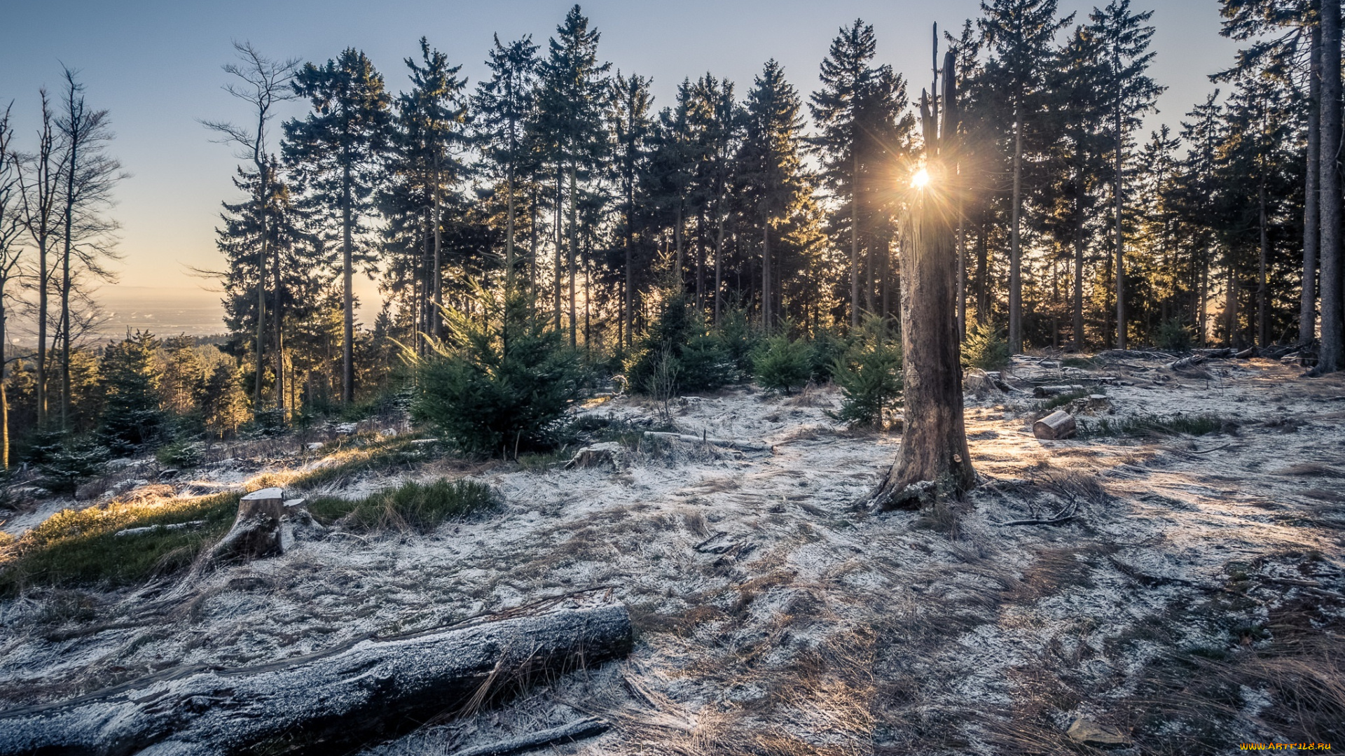 природа, зима, простор