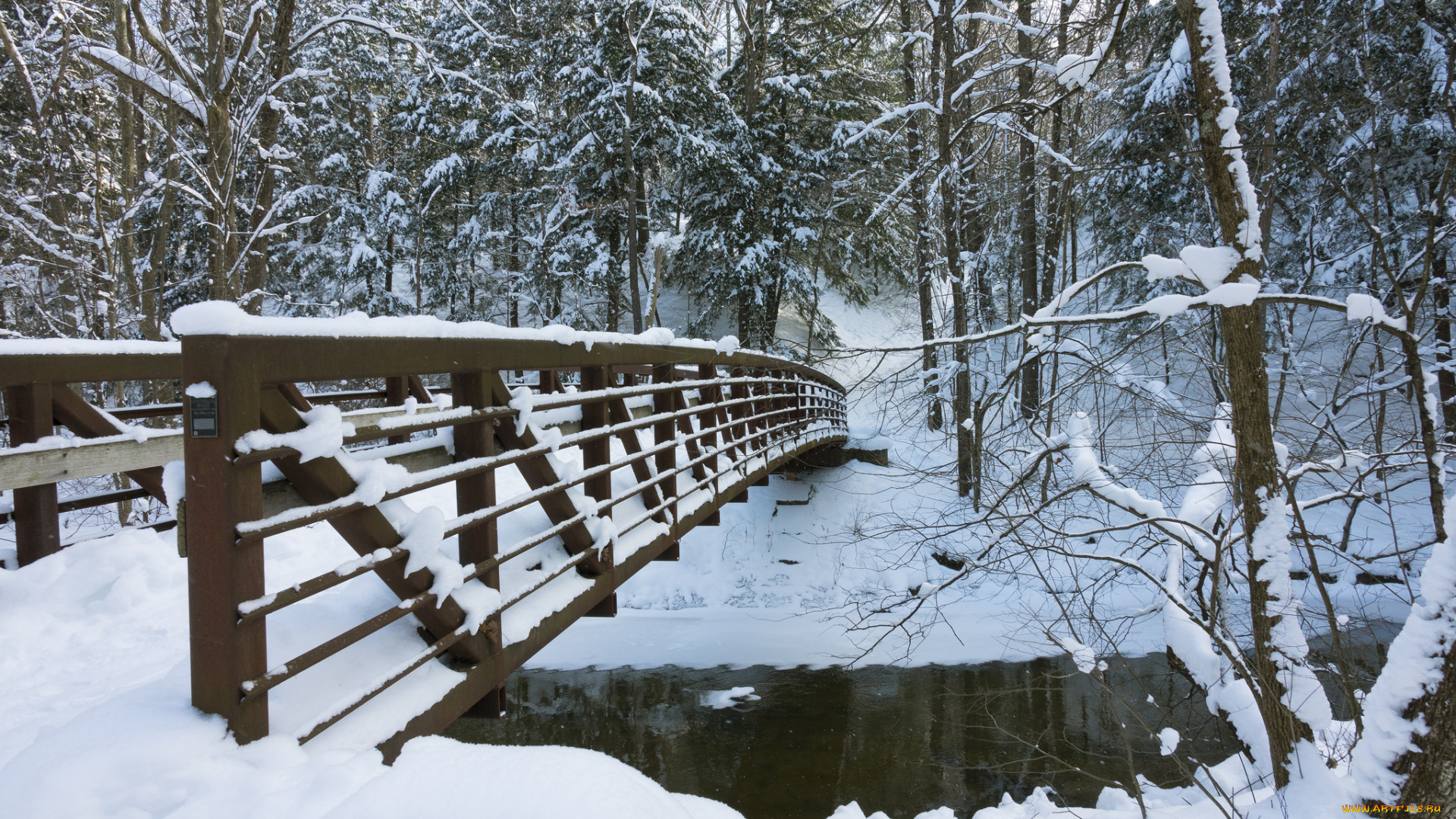 природа, зима, простор