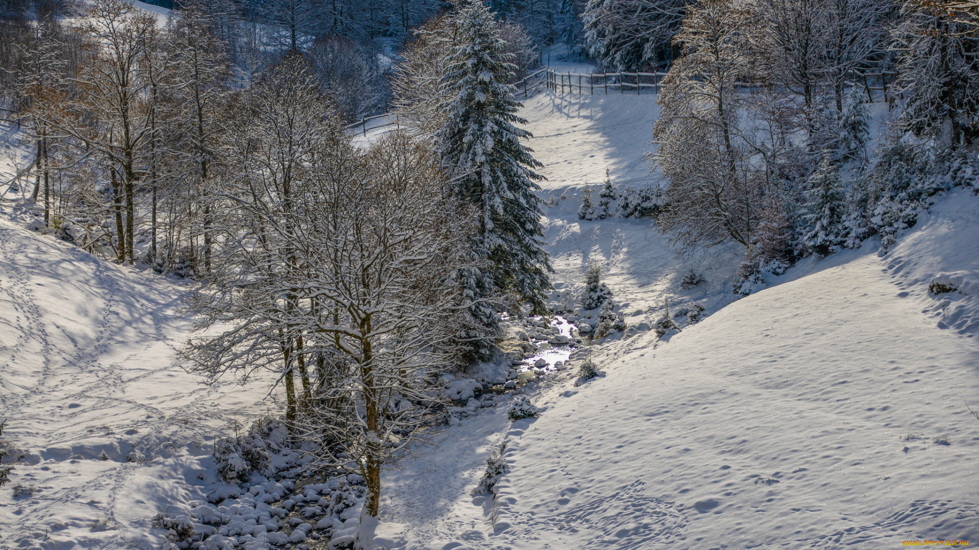 природа, зима, простор