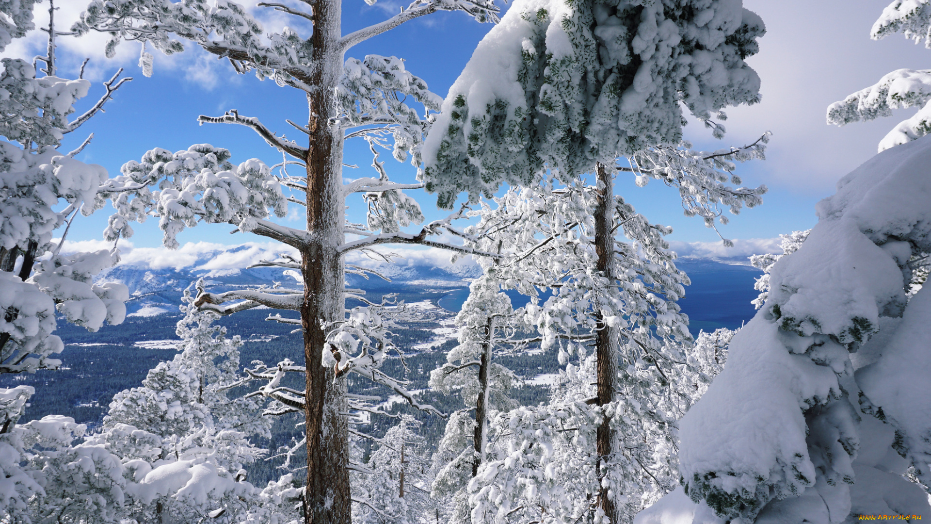 природа, зима, простор