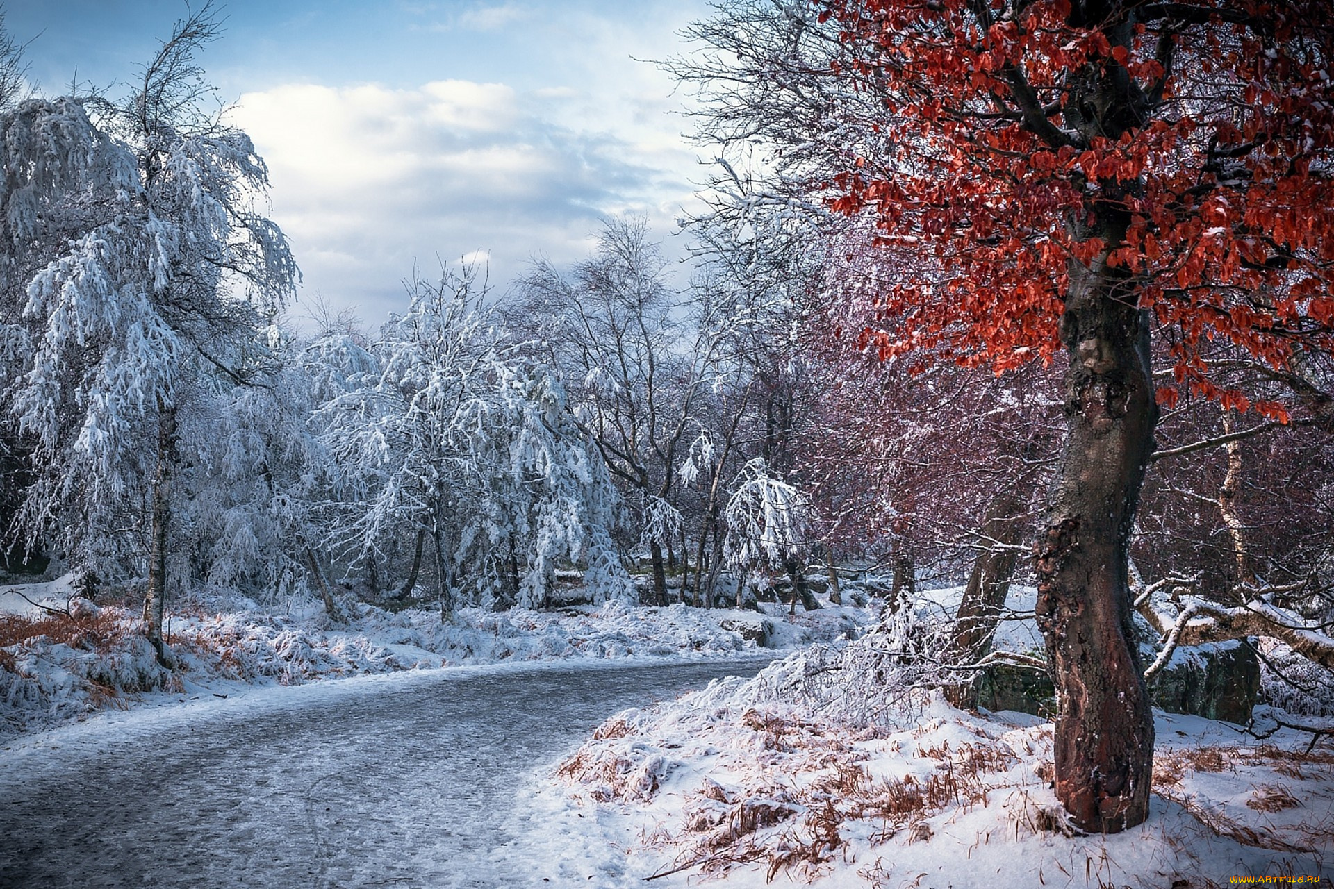 природа, зима, простор