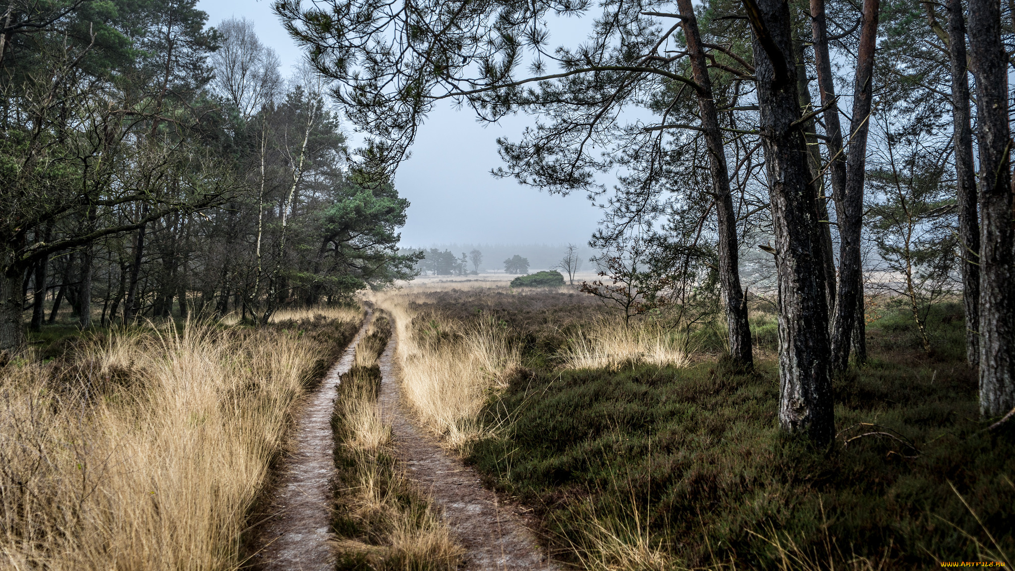 природа, дороги, простор