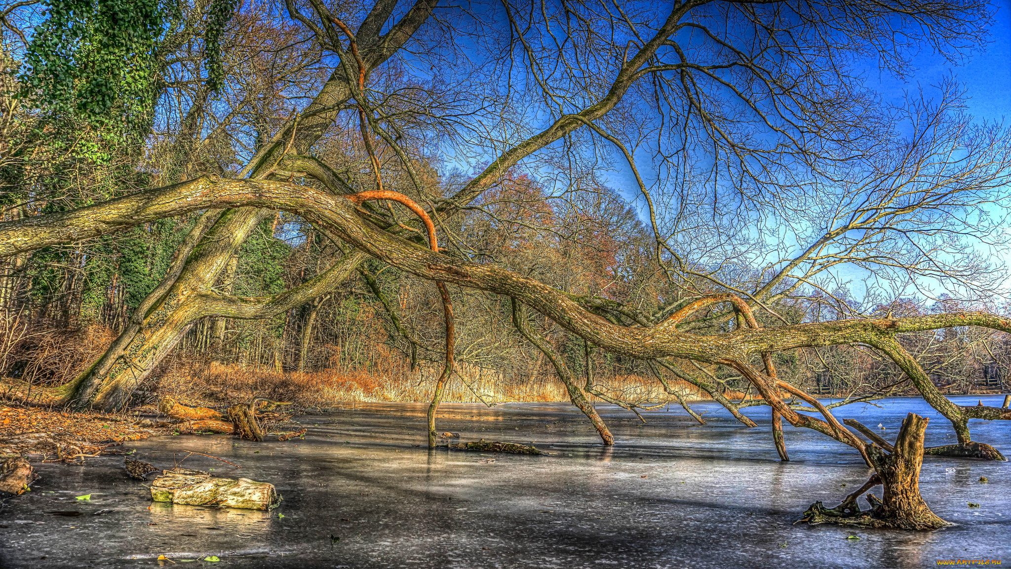 природа, реки, озера, простор