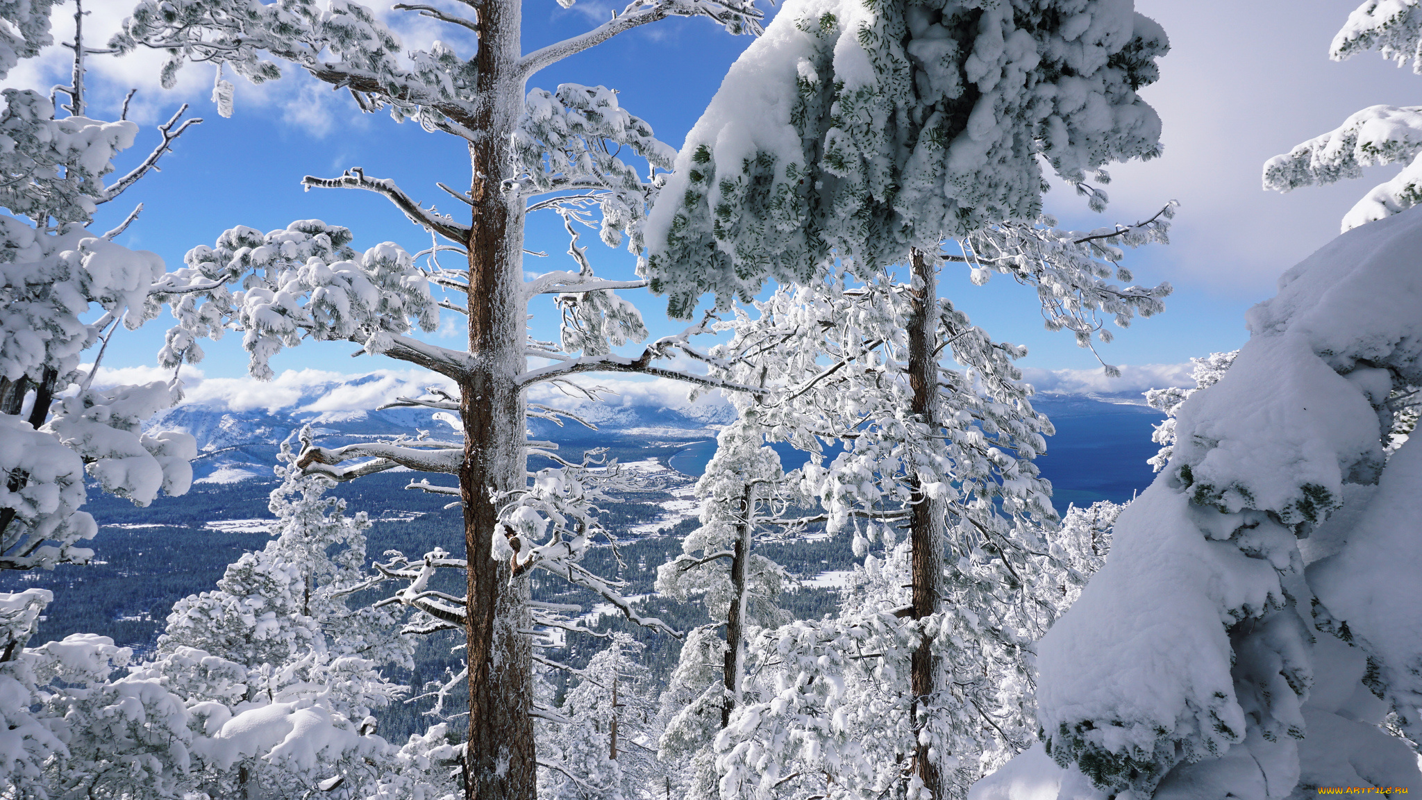 природа, зима, простор