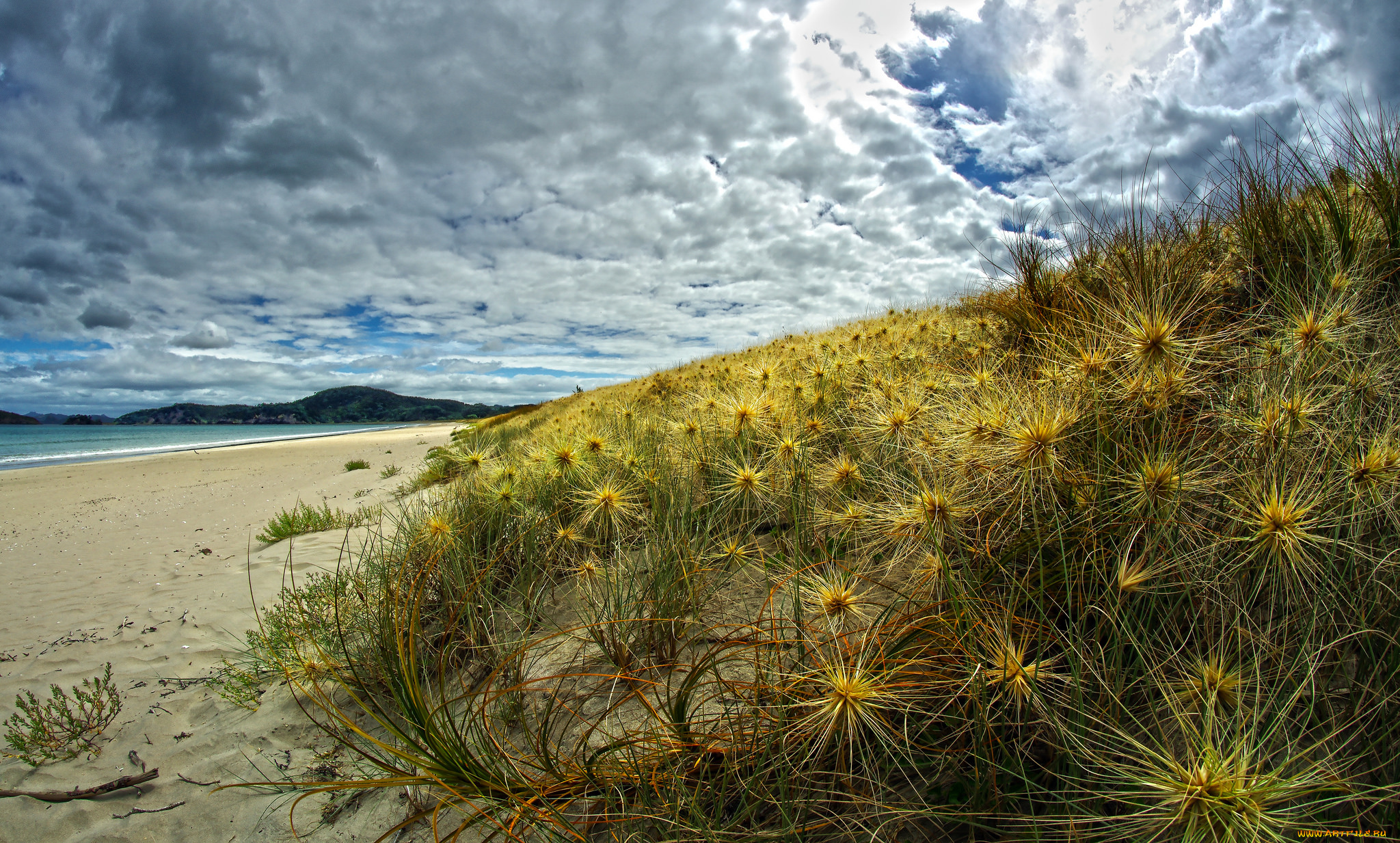 природа, побережье, простор