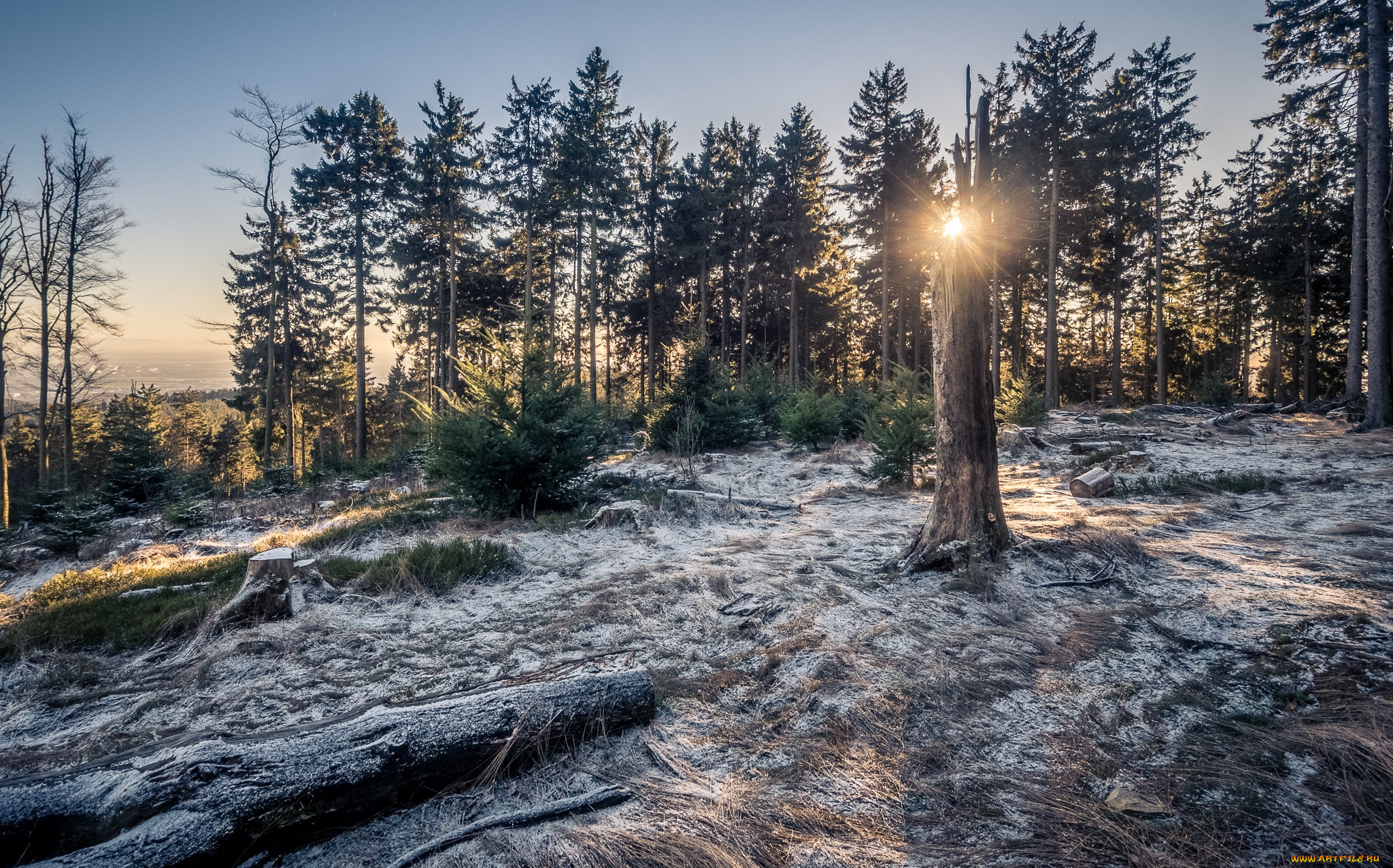 природа, зима, простор