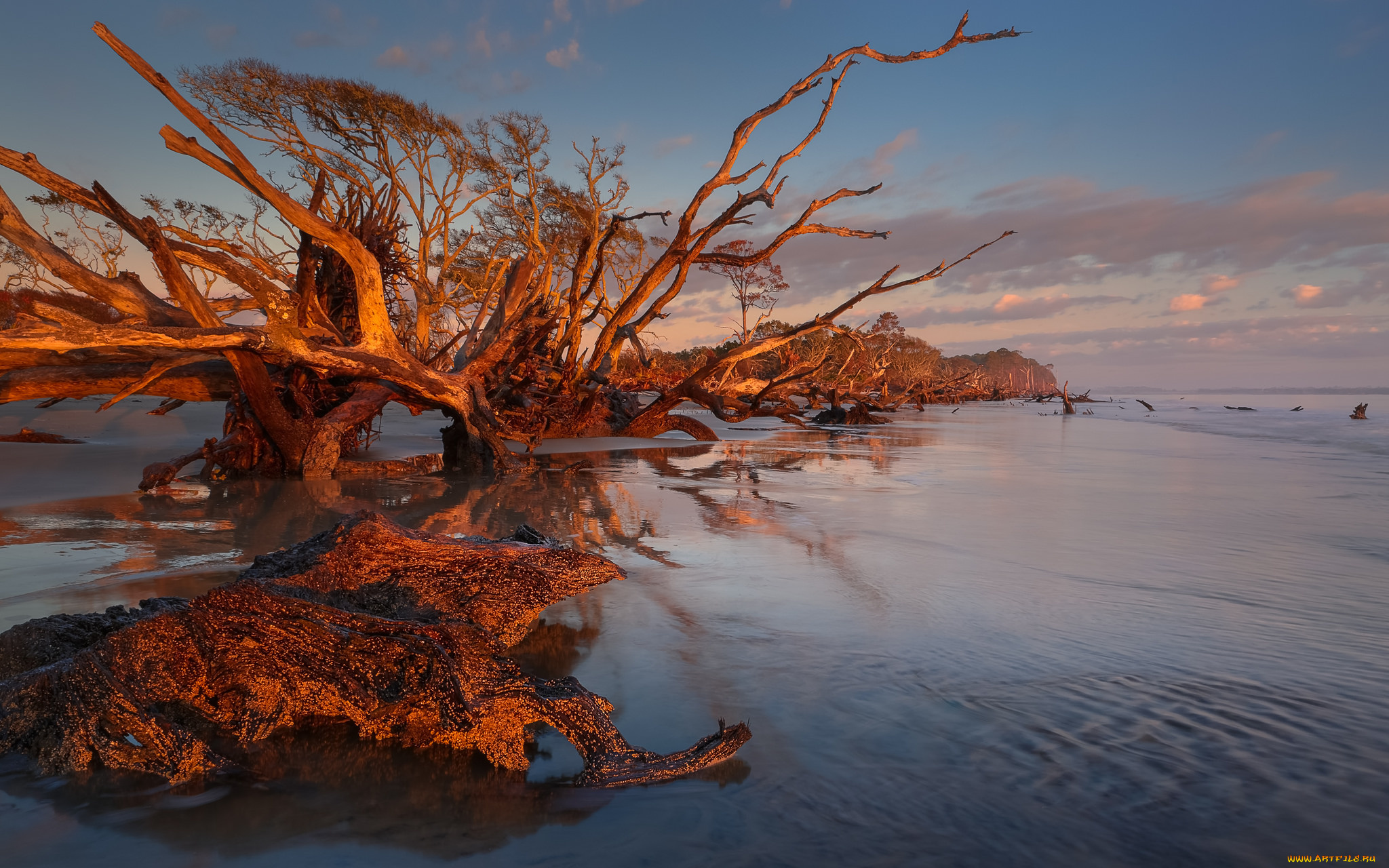 природа, реки, озера, простор