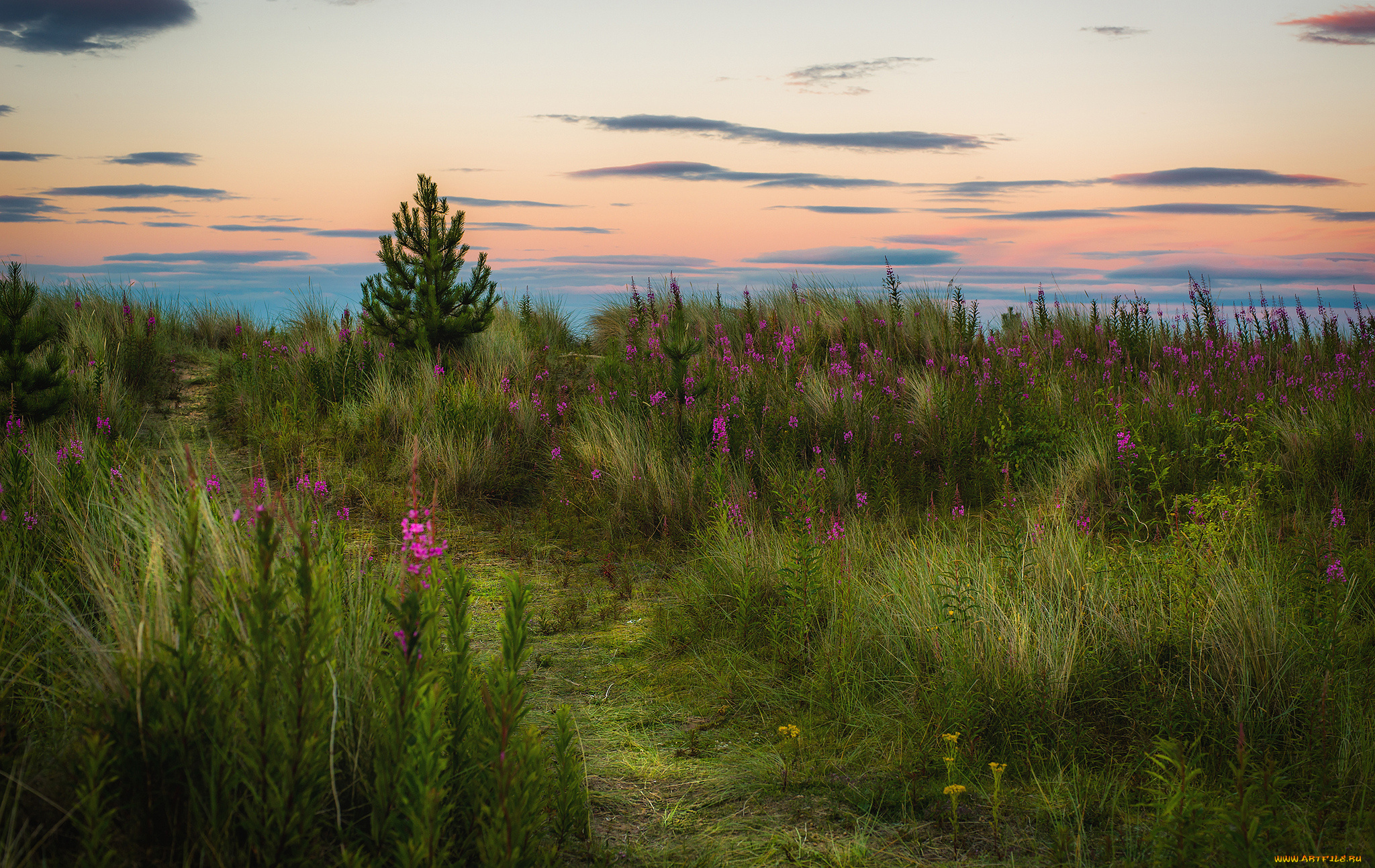 природа, пейзажи, простор