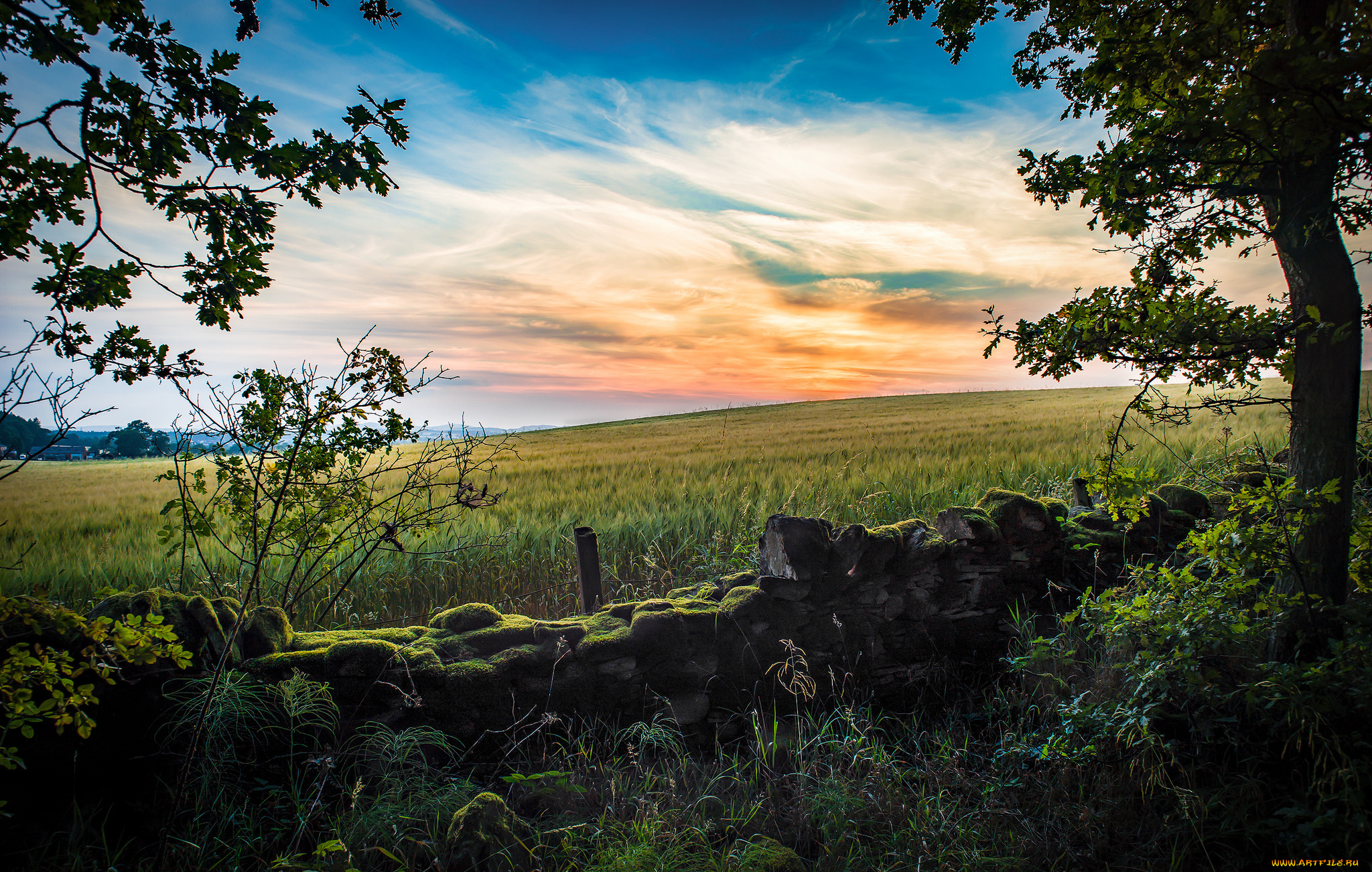 природа, пейзажи, простор
