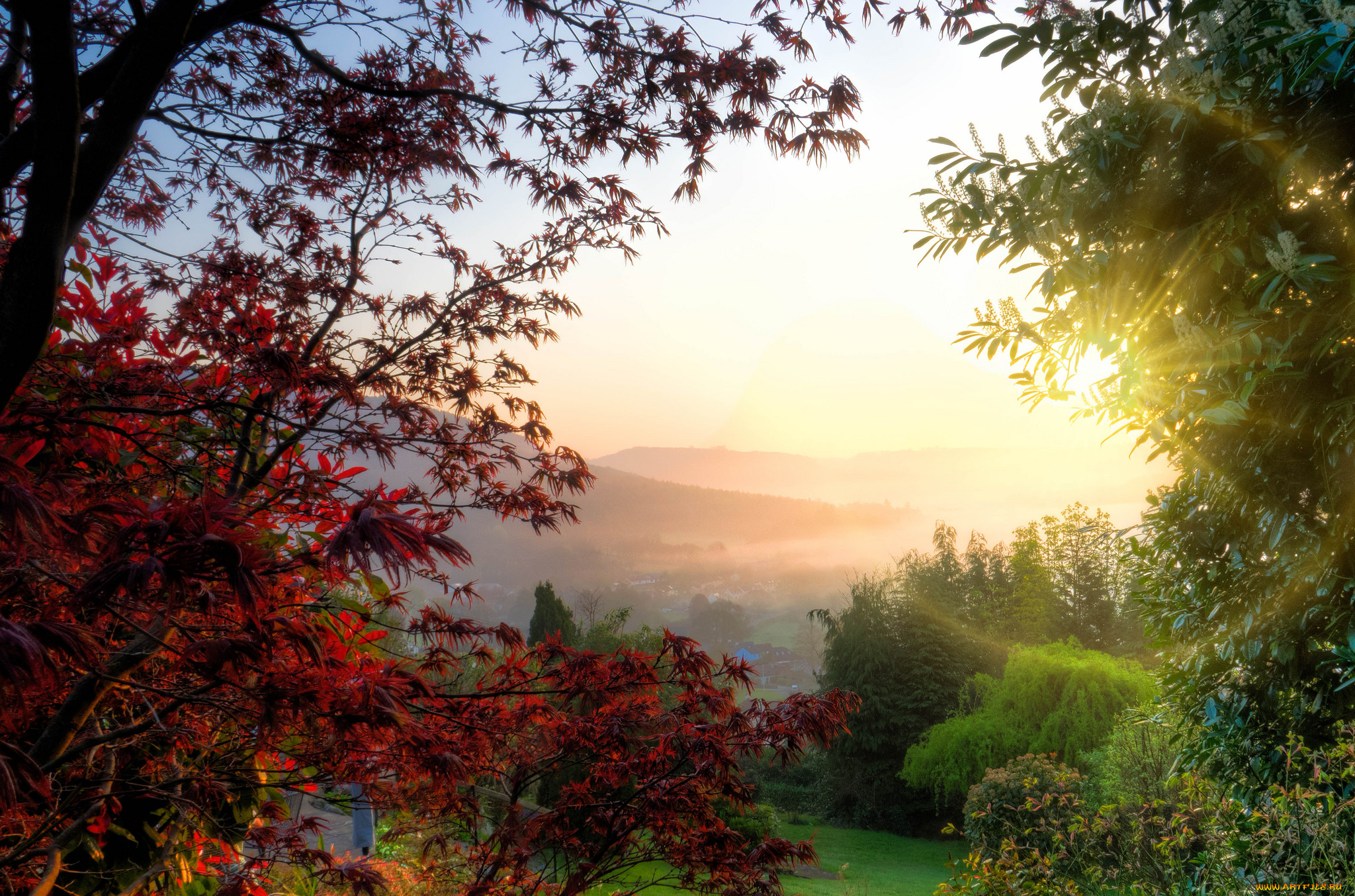 природа, восходы, закаты, простор