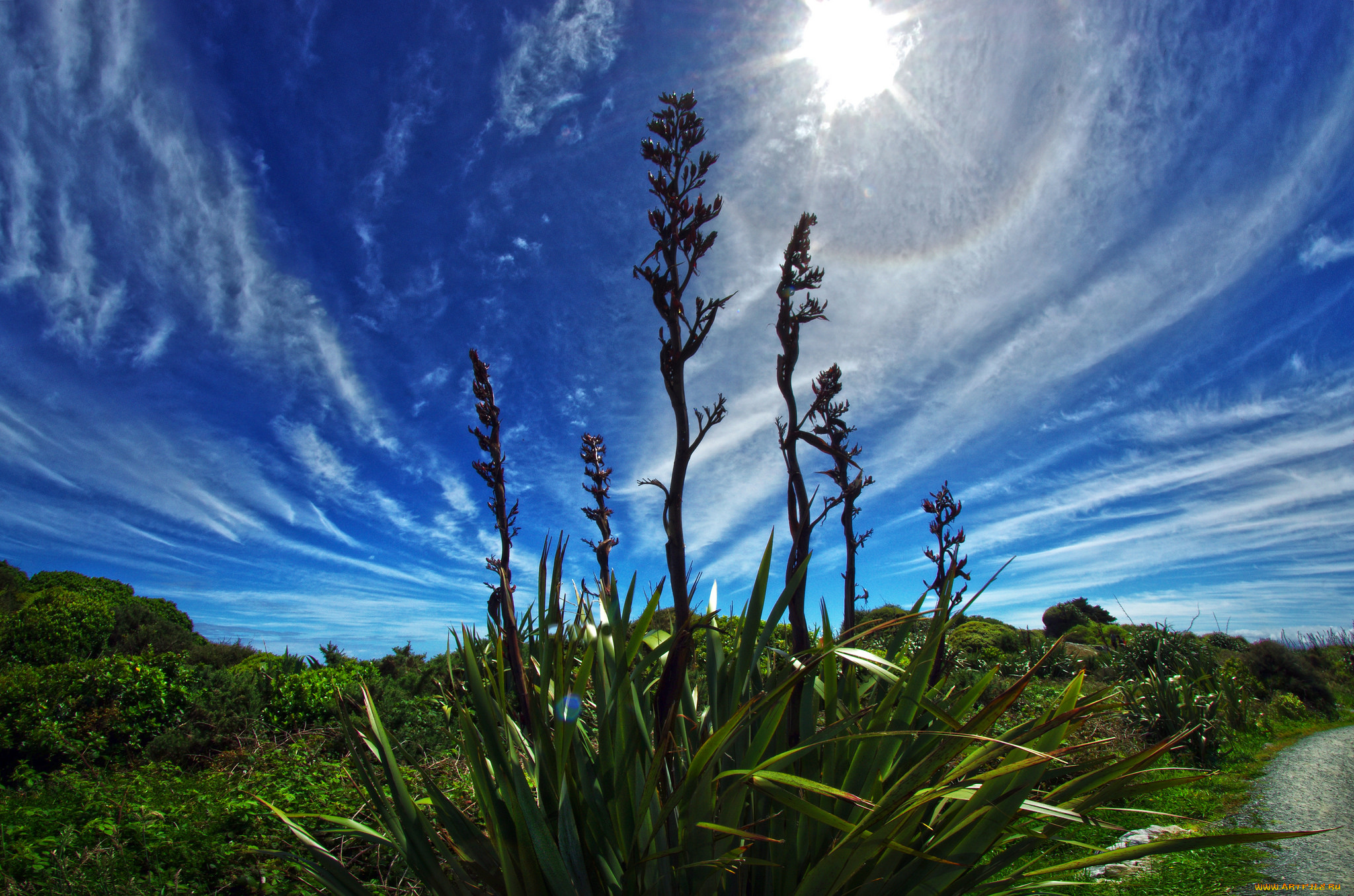 природа, пейзажи, простор