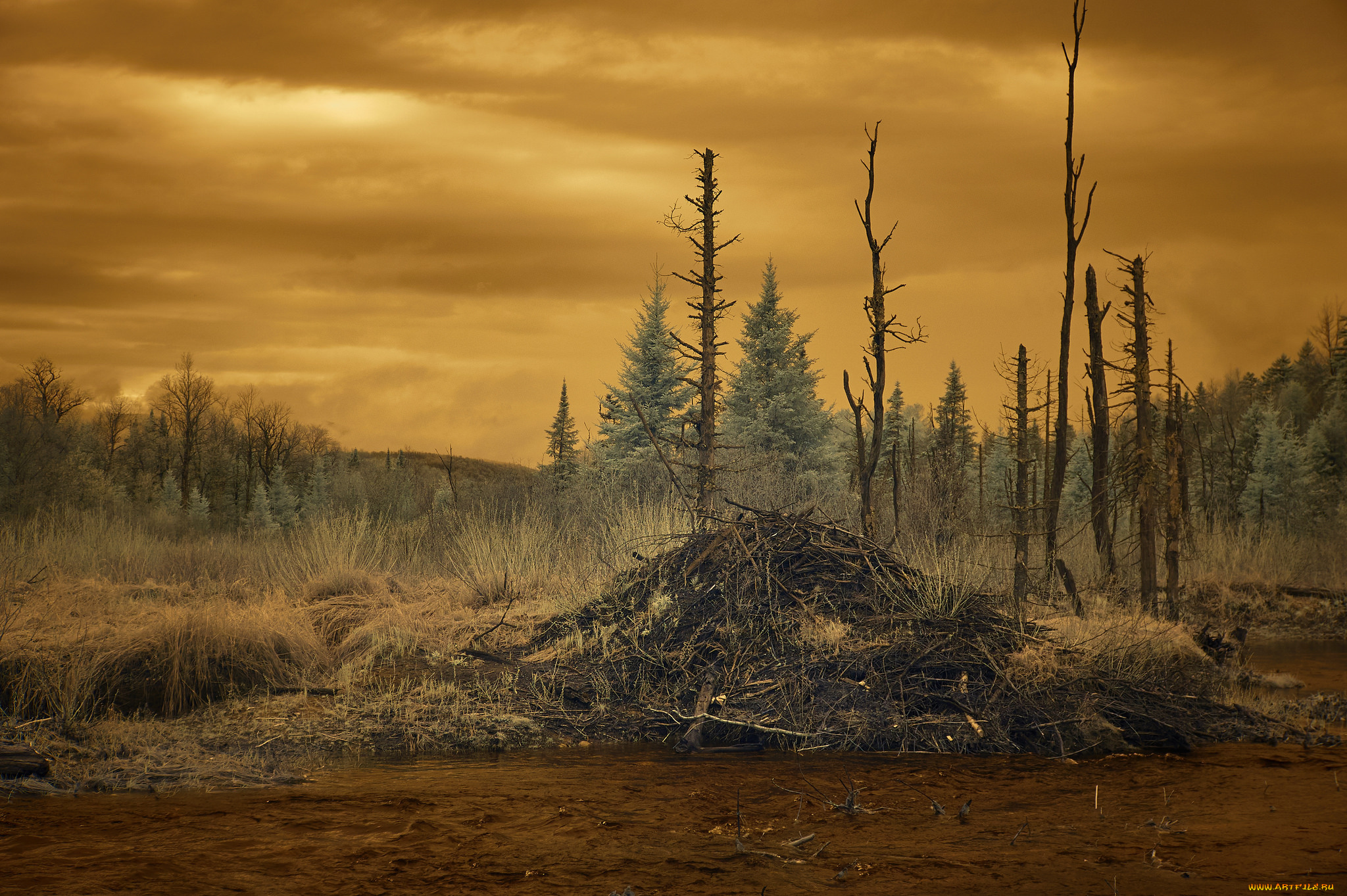 природа, пейзажи, простор