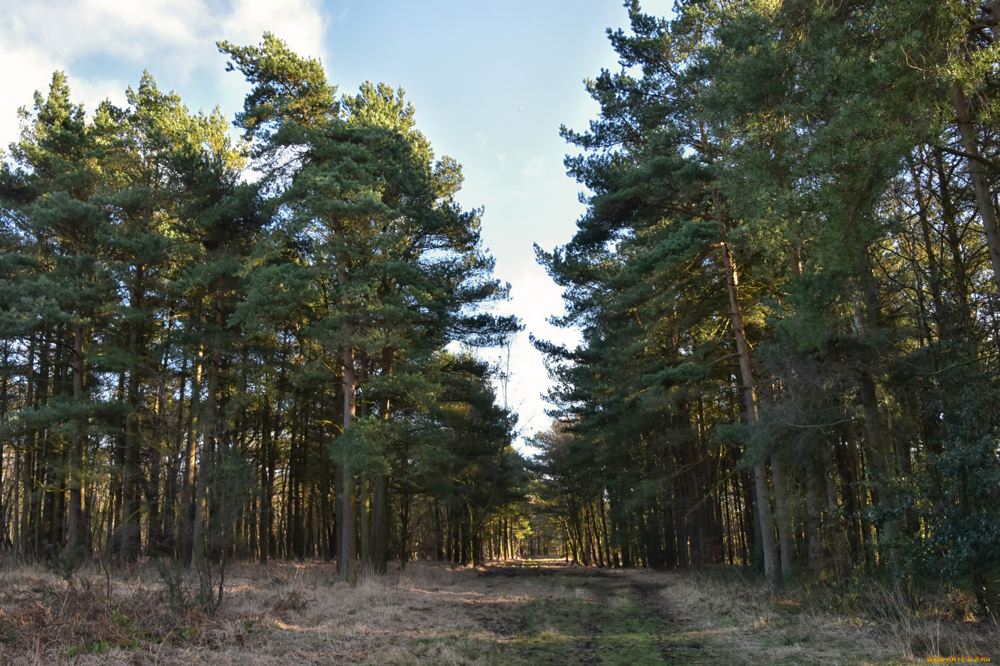 природа, дороги, простор