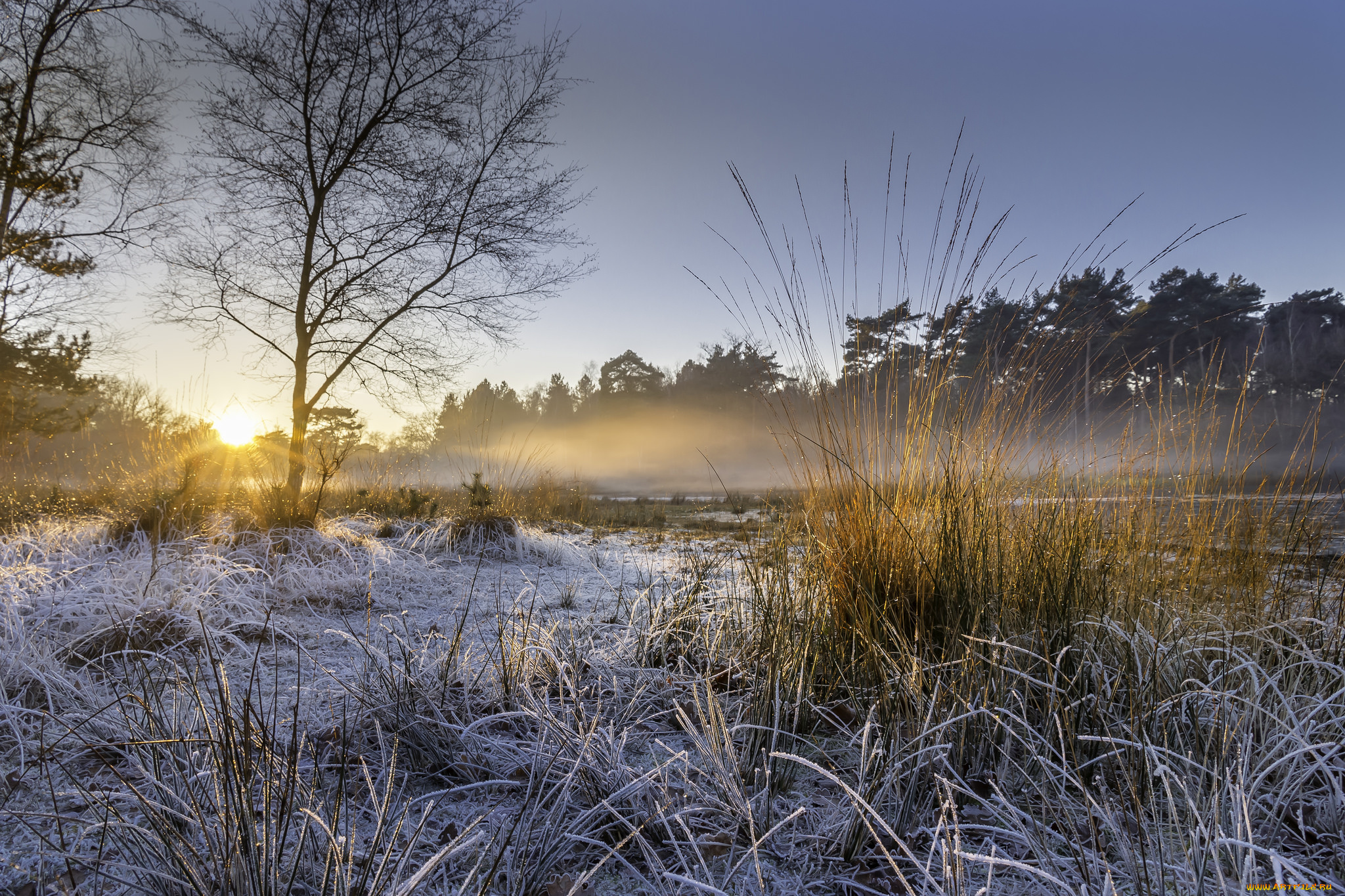 природа, восходы, закаты, простор