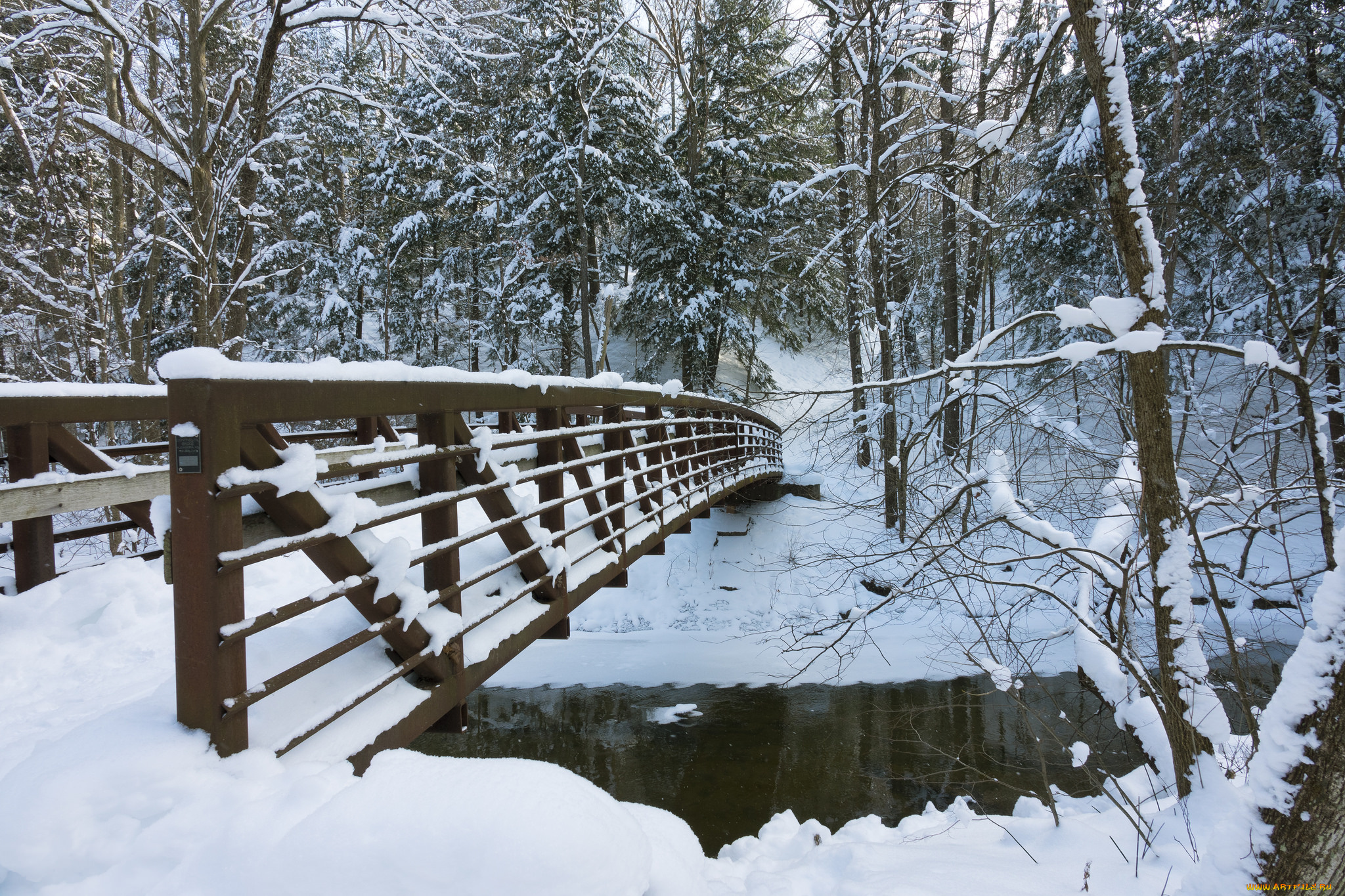 природа, зима, простор